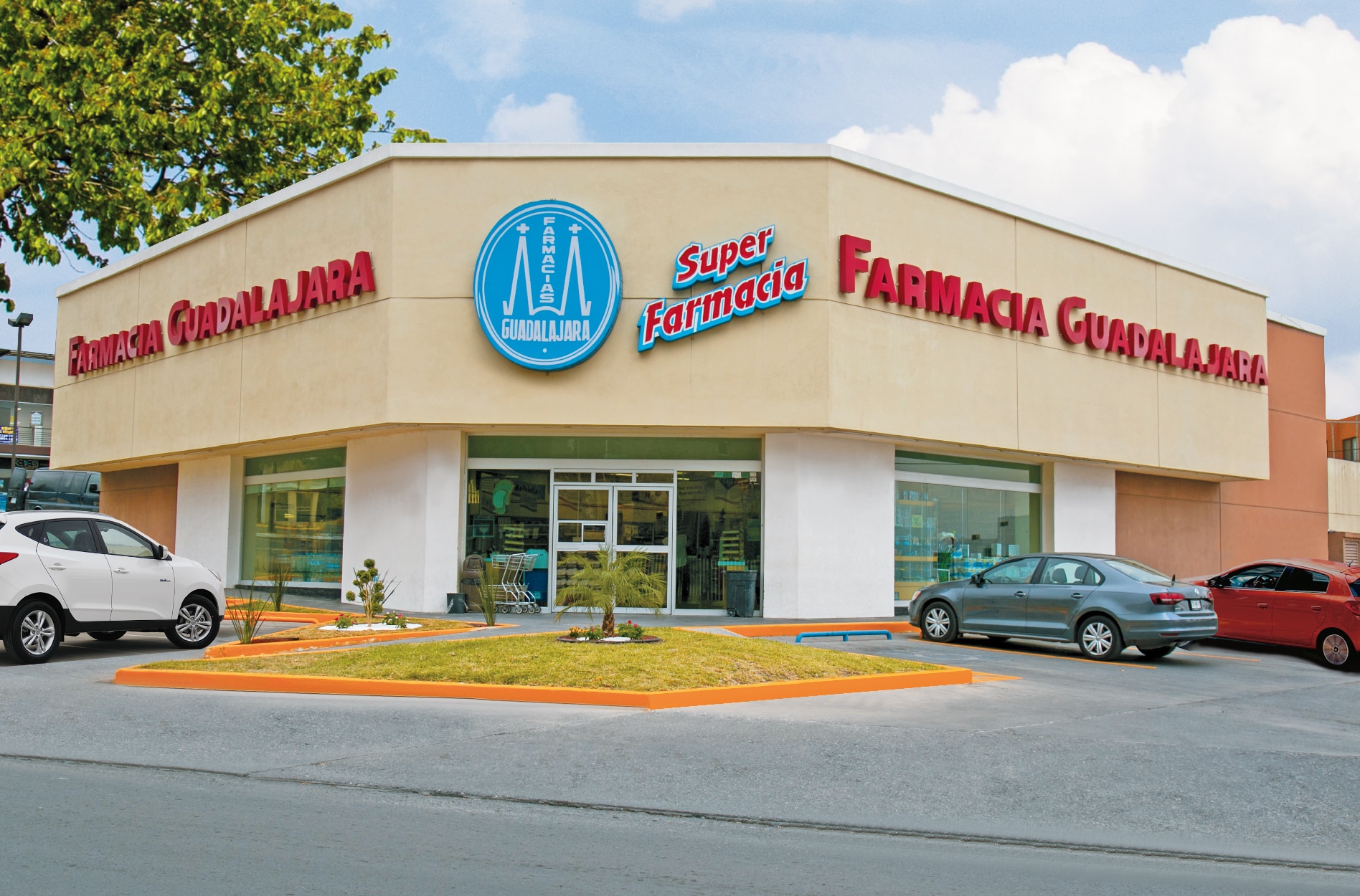 Farmacia Guadalajara