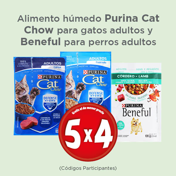 Alimento húmedo purina cat chow para gatos adultos y beneful para perros adultos lleva 5 y paga 4 (códigos participantes)