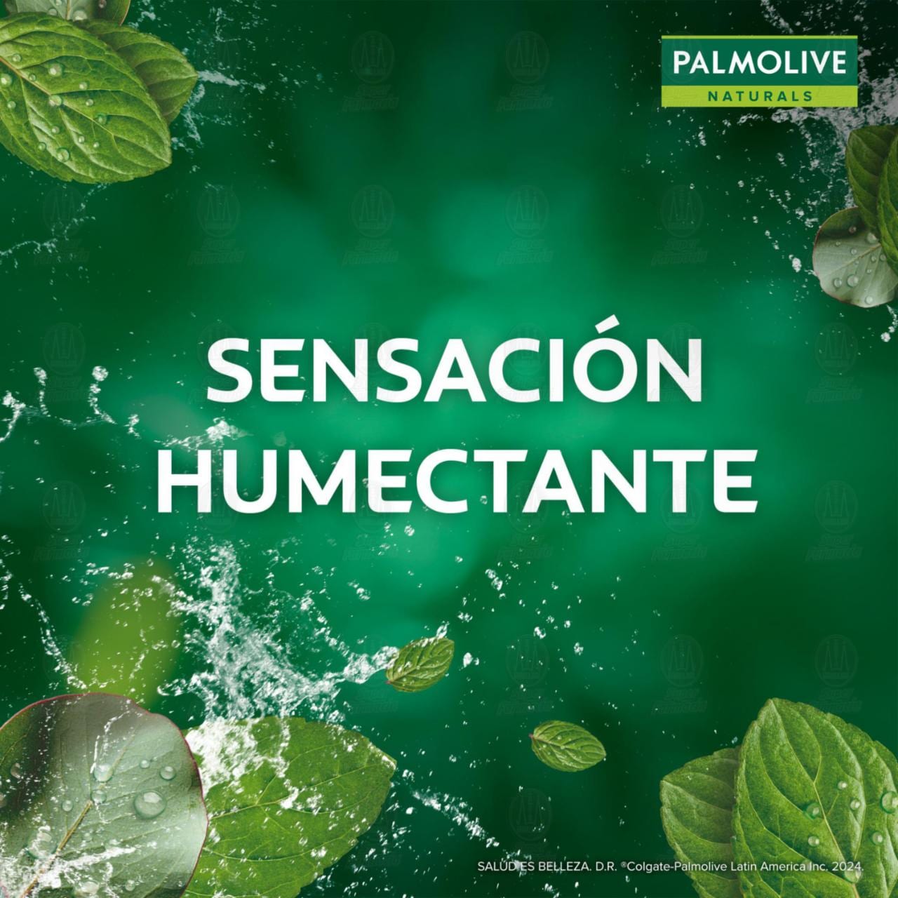 Jab&oacute;n en Barra Palmolive Naturals Nutrici&oacute;n Refrescante Menta y Eucalipto, 120 gr. image number 2