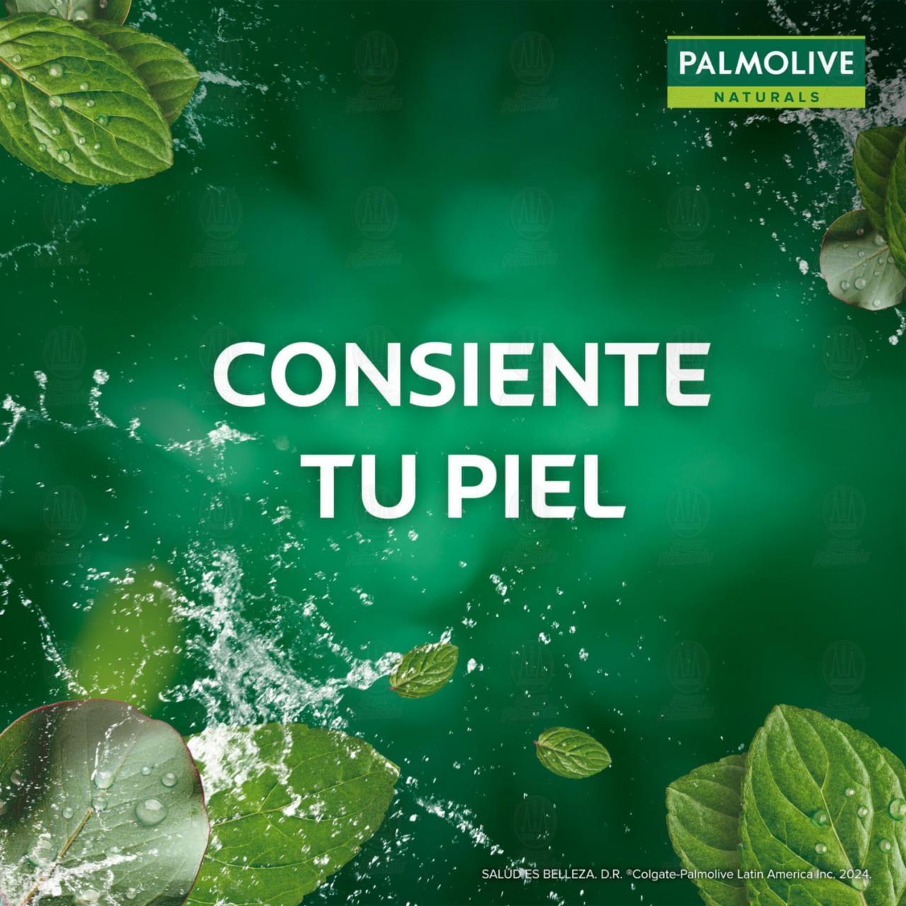 Jab&oacute;n en Barra Palmolive Naturals Nutrici&oacute;n Refrescante Menta y Eucalipto, 120 gr. image number 3