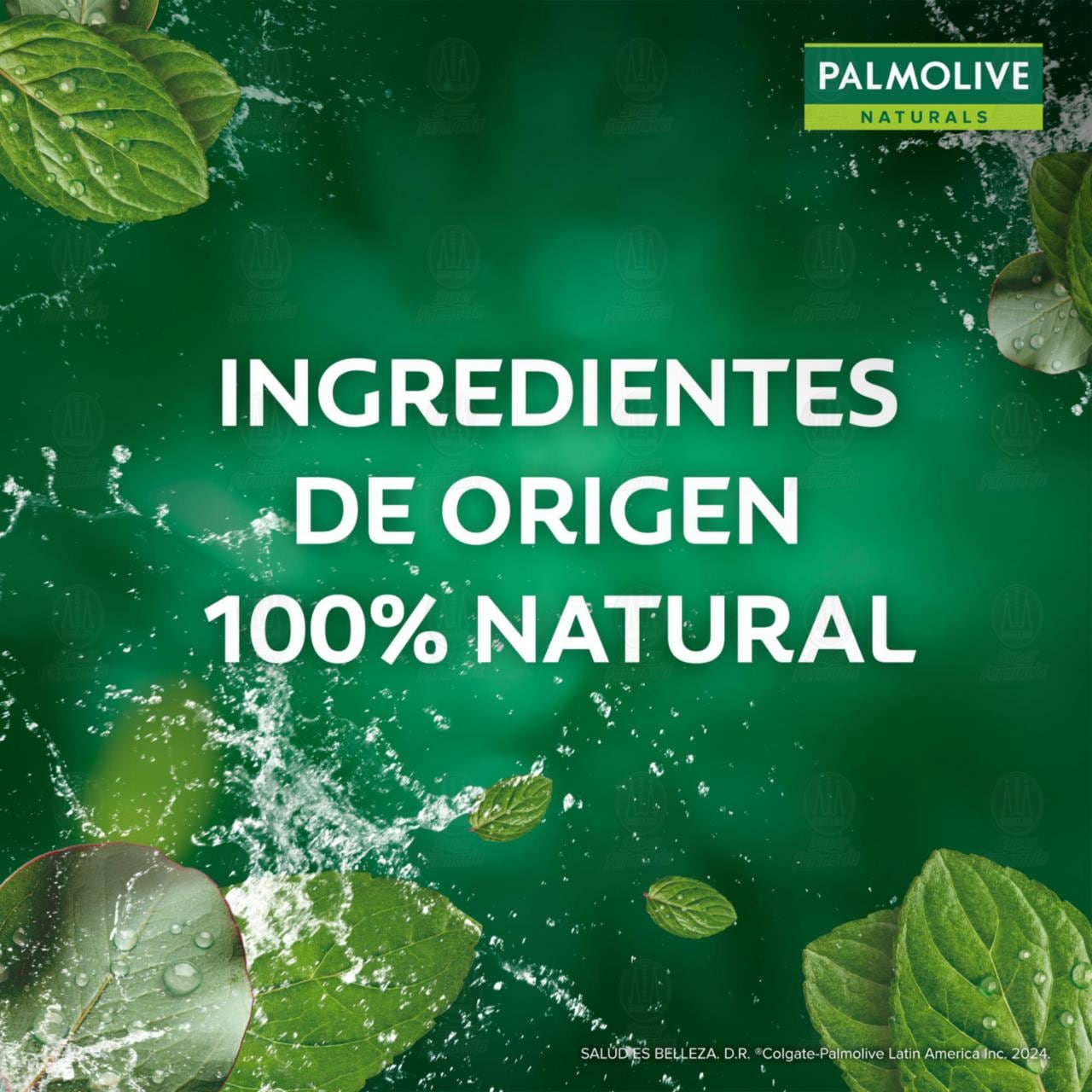 Jab&oacute;n en Barra Palmolive Naturals Nutrici&oacute;n Refrescante Menta y Eucalipto, 120 gr. image number 4