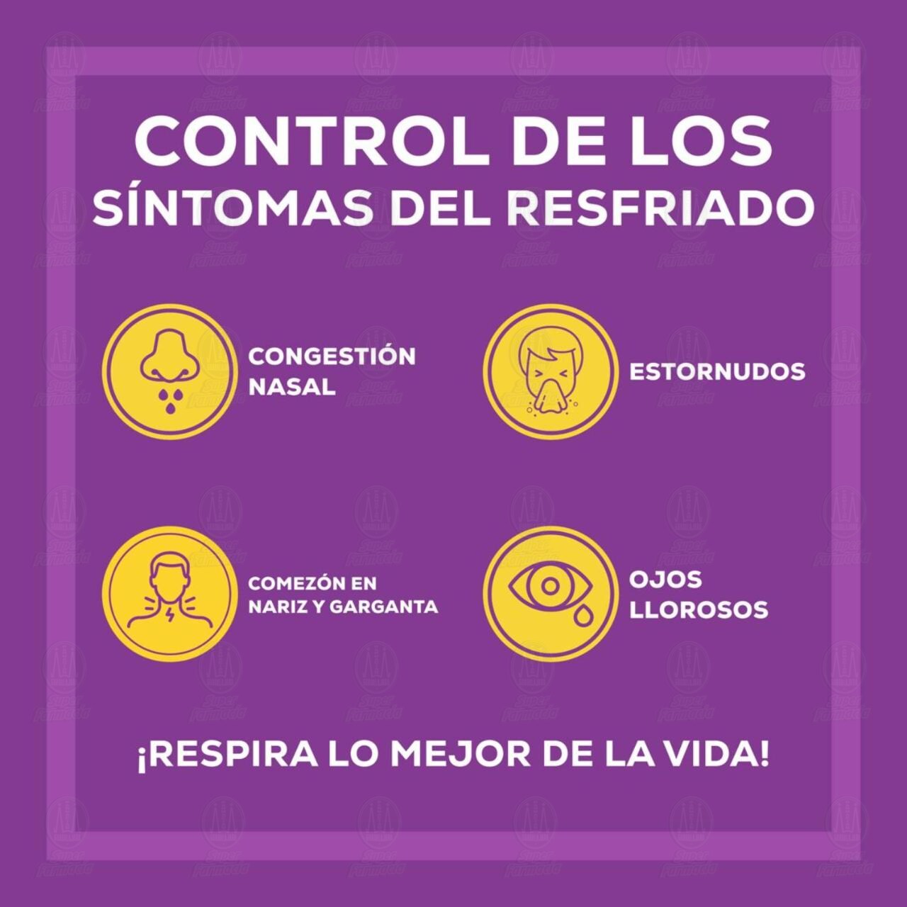 Allegra D Antihistam&iacute;nico para Congesti&oacute;n Nasal y Alergias, 10 Tabletas. image number 2