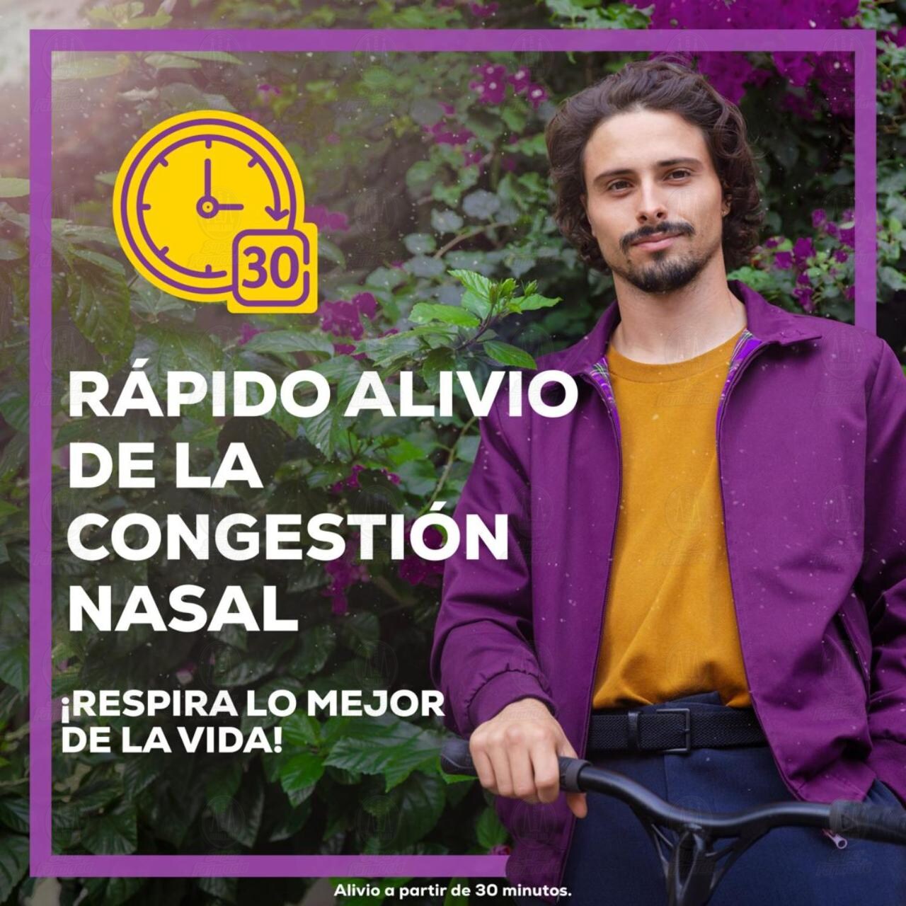 Allegra D Antihistam&iacute;nico para Congesti&oacute;n Nasal y Alergias, 10 Tabletas. image number 3