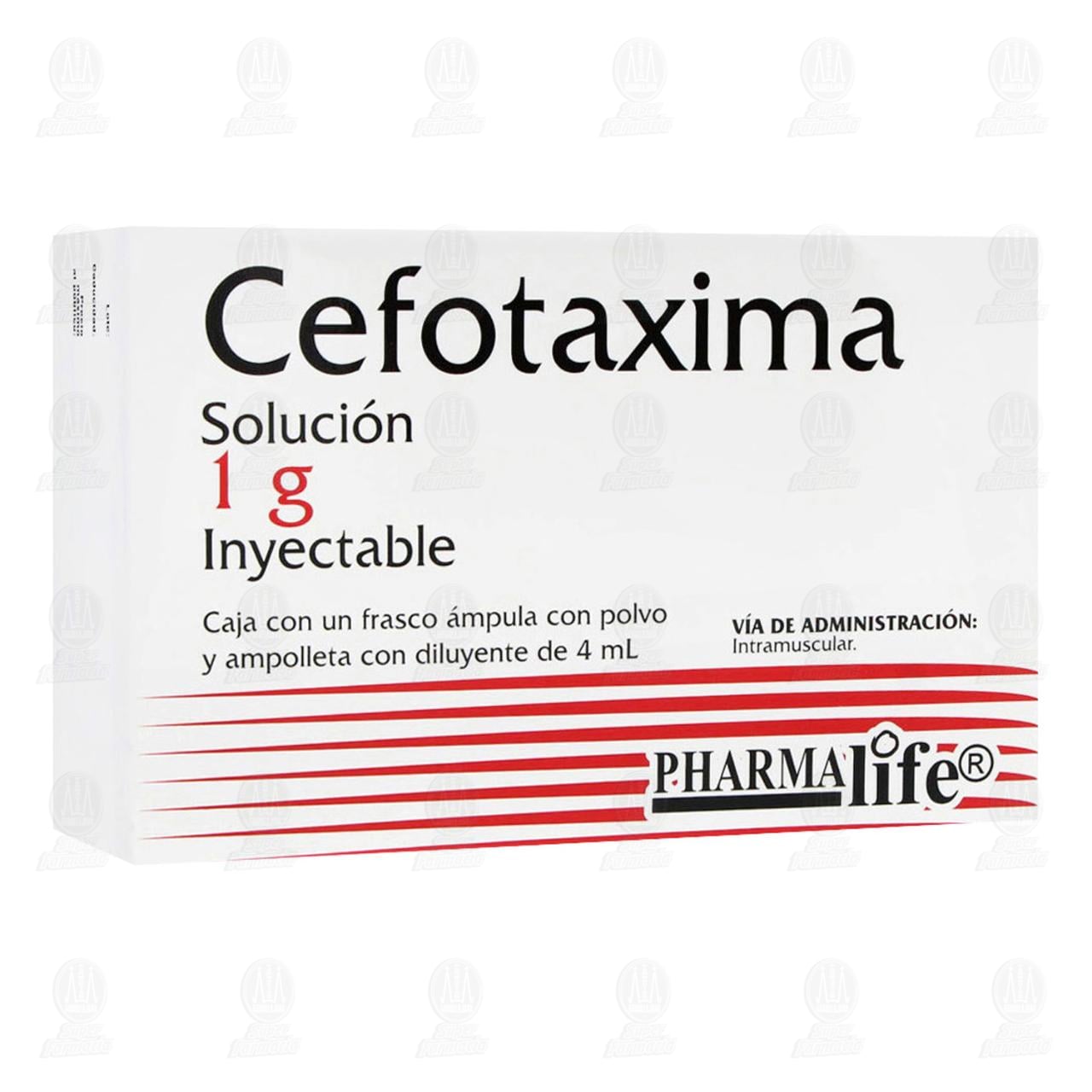 Cefotaxima 1 gr, 4 ml &Aacute;mpula con Polvo y Ampolleta Pharmalife. image number 0
