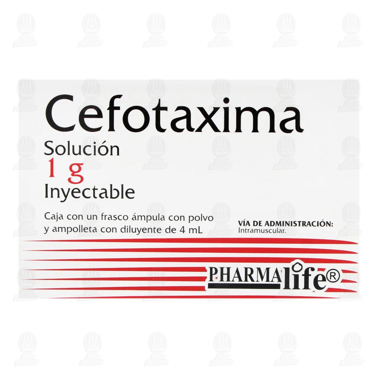 Cefotaxima 1 gr, 4 ml &Aacute;mpula con Polvo y Ampolleta Pharmalife. image number 1
