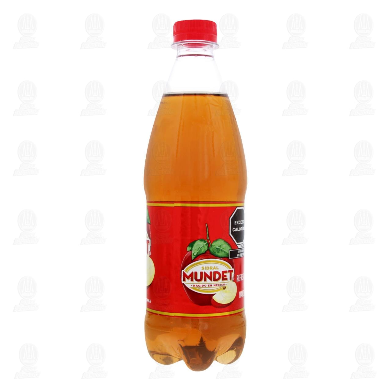 Imagen para Refresco Sidral Mundet, 600 ml.