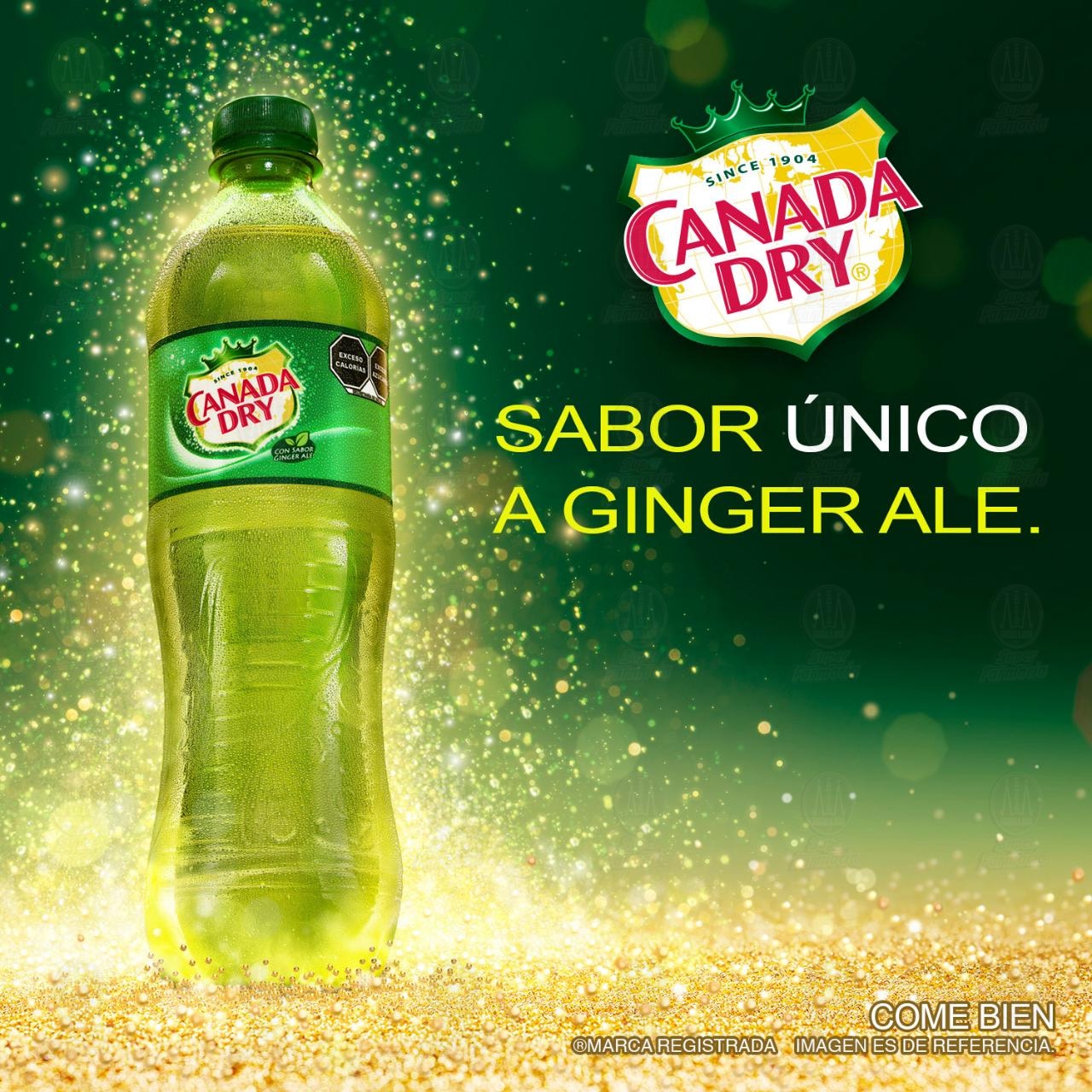 Refresco Canada Dry Ginger Ale, 600 ml. image number 3