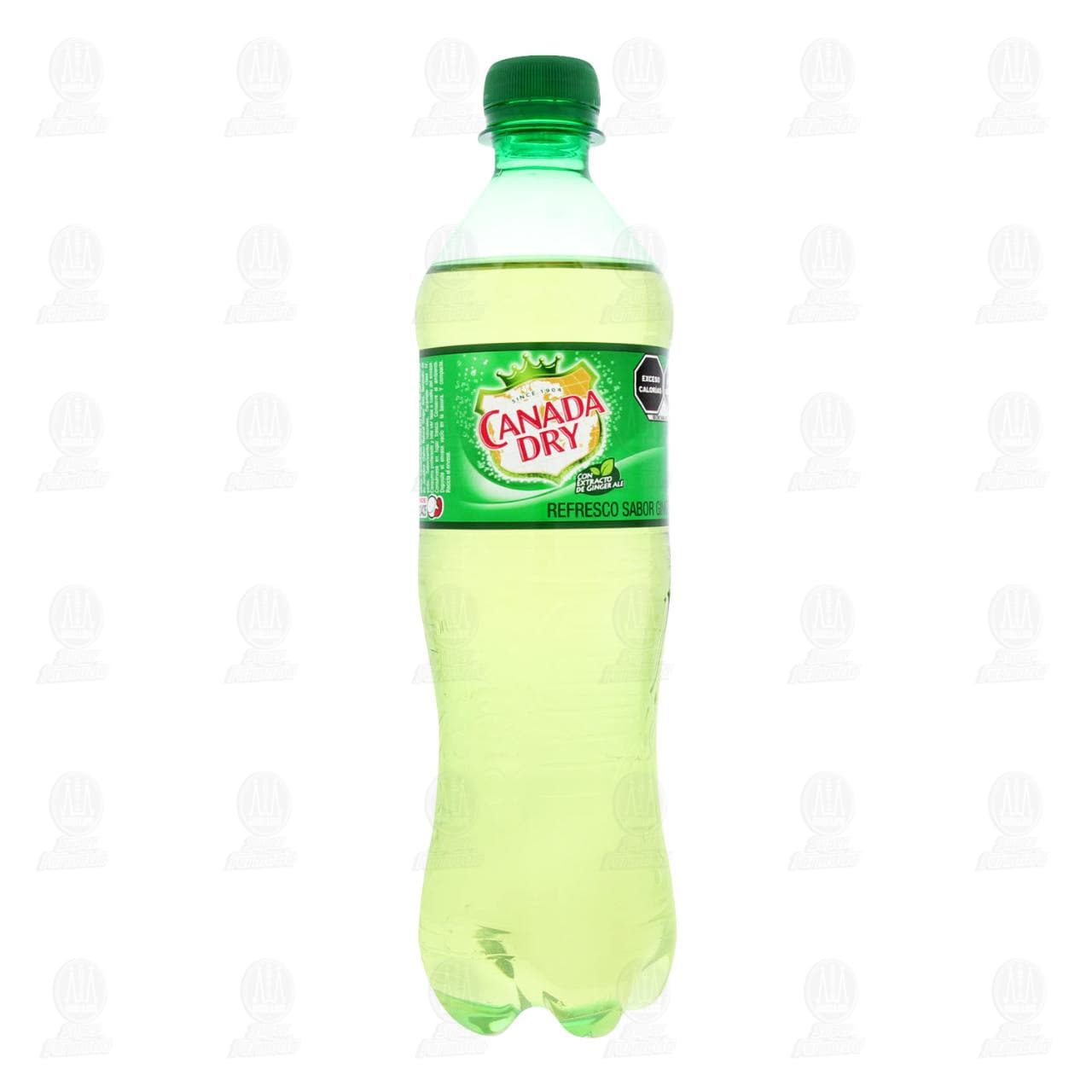 Refresco Canada Dry Ginger Ale, 600 ml. image number 1
