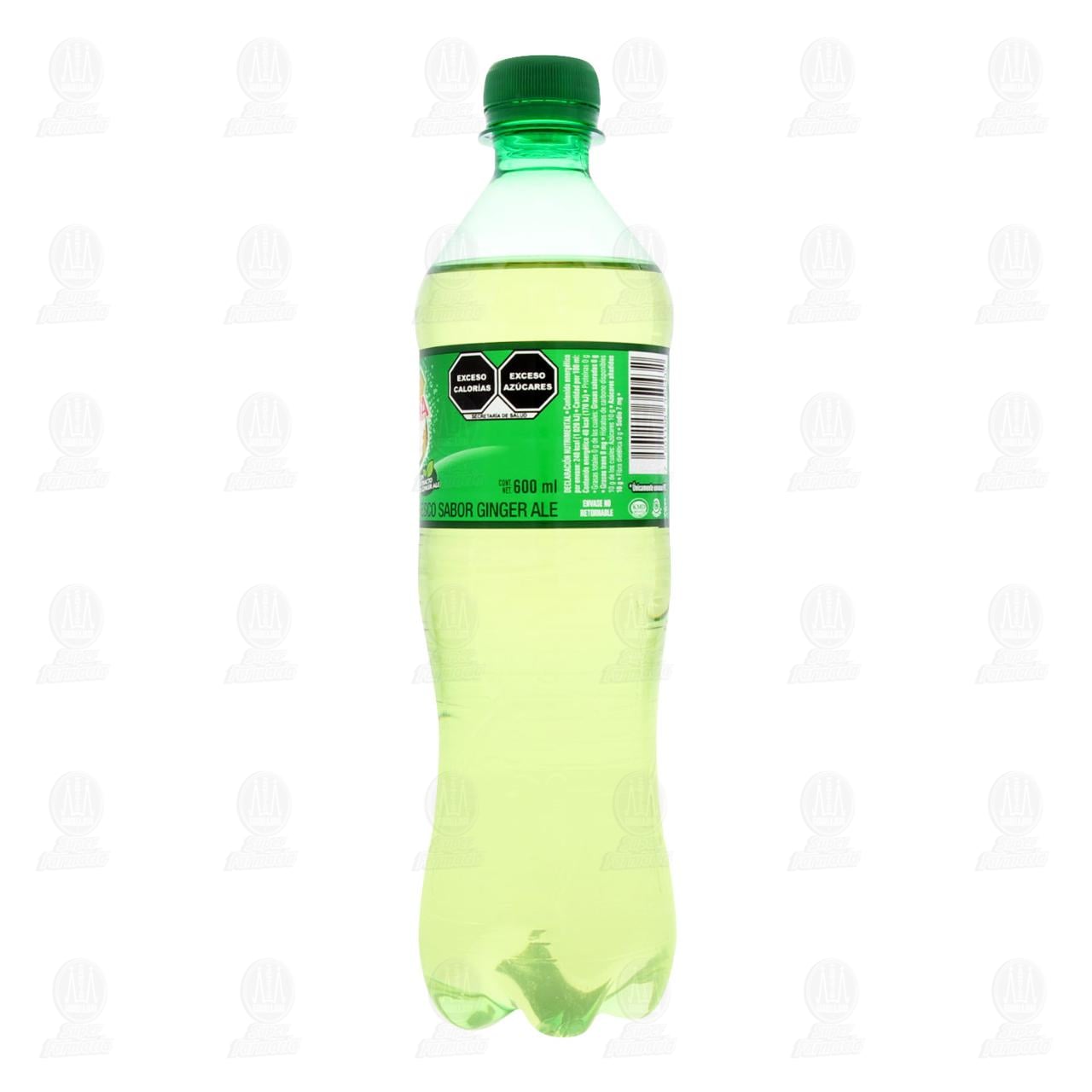 Refresco Canada Dry Ginger Ale, 600 ml. image number 2