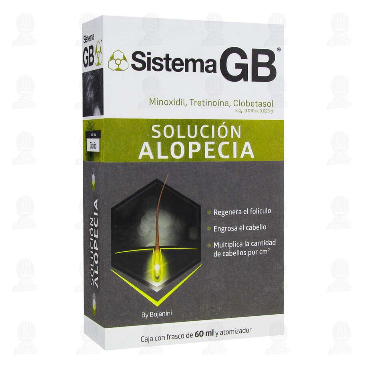 Sistema GB Soluci&oacute;n Alopecia, 60 ml. image number 0
