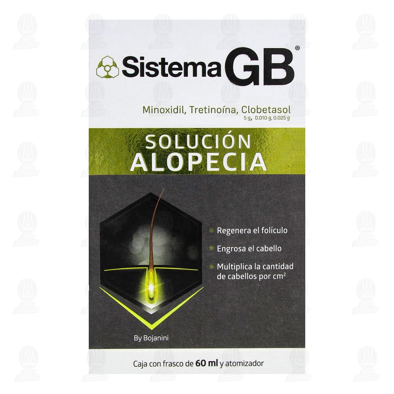 Sistema GB Soluci&oacute;n Alopecia, 60 ml. image number 1