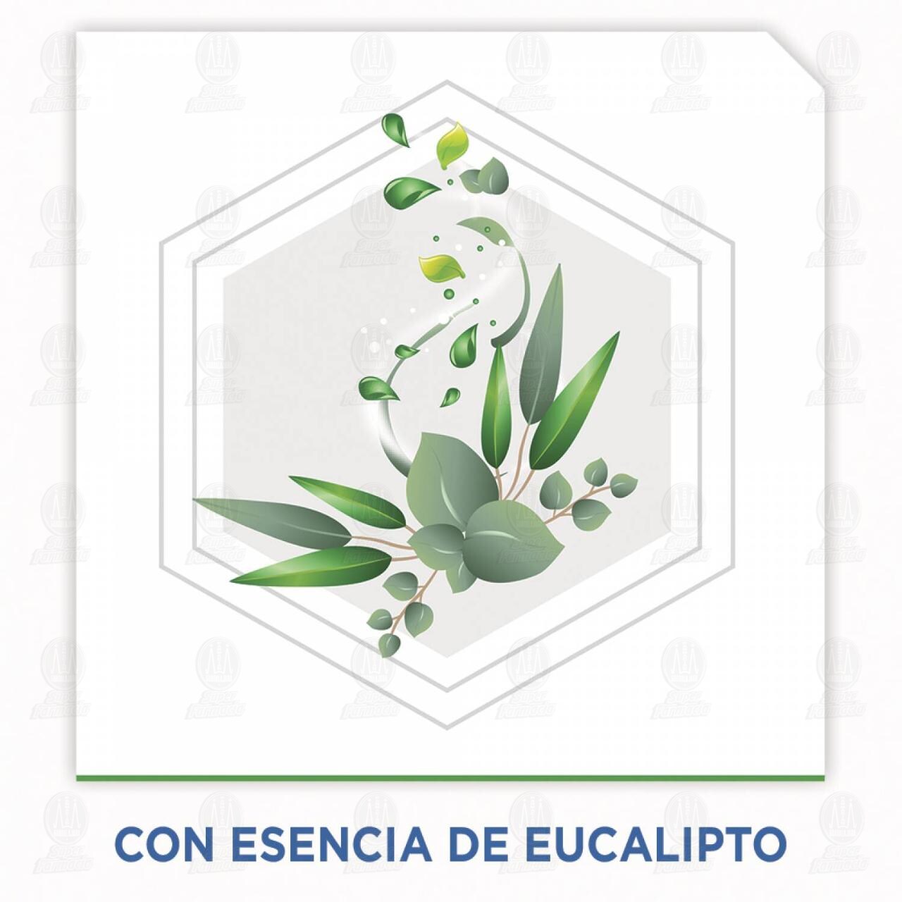 Insecticida Raid Casa y Jard&iacute;n en Aerosol Esencia de Eucalipto a Base de Agua, 400 ml. image number 2