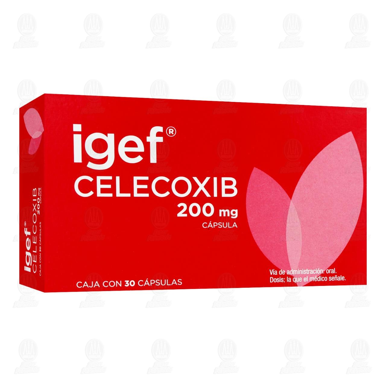Igef 200 mg, 30 C&aacute;psulas. image number 0