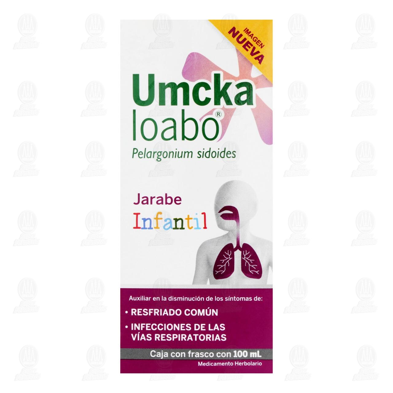 Umckaloabo Jarabe Infantil, 100 ml. image number 1