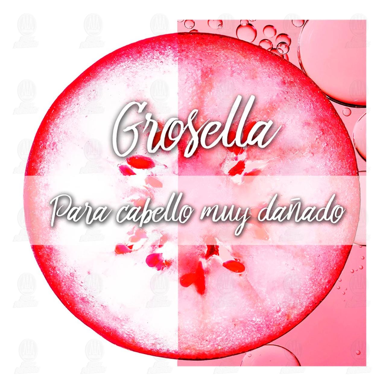 Shampoo Garnier Fructis Borrador de Da&ntilde;o Post Qu&iacute;mica, 650 ml. image number 3