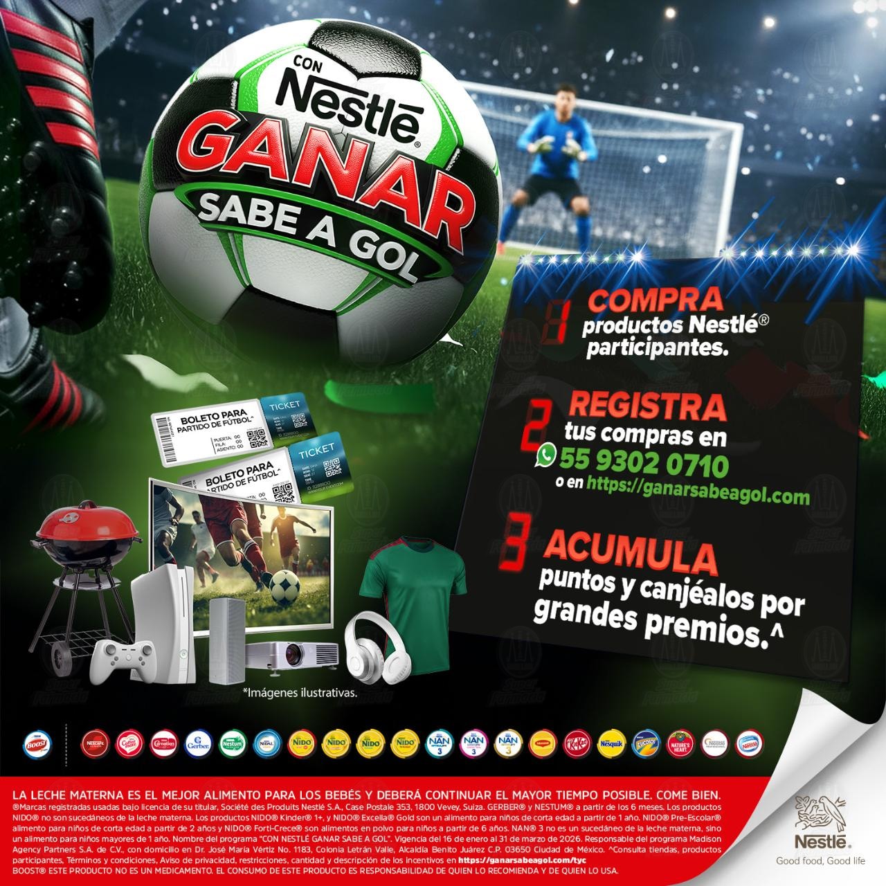 Purina Beneful Carne para Perros Adultos Minis y Peque&ntilde;os, 2 kg. image number 3