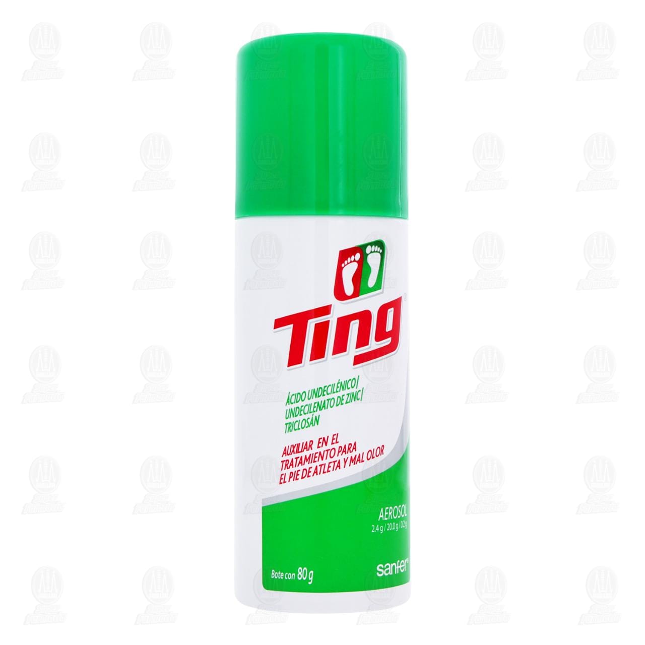 Ting Polvo en Aerosol, 80 gr.