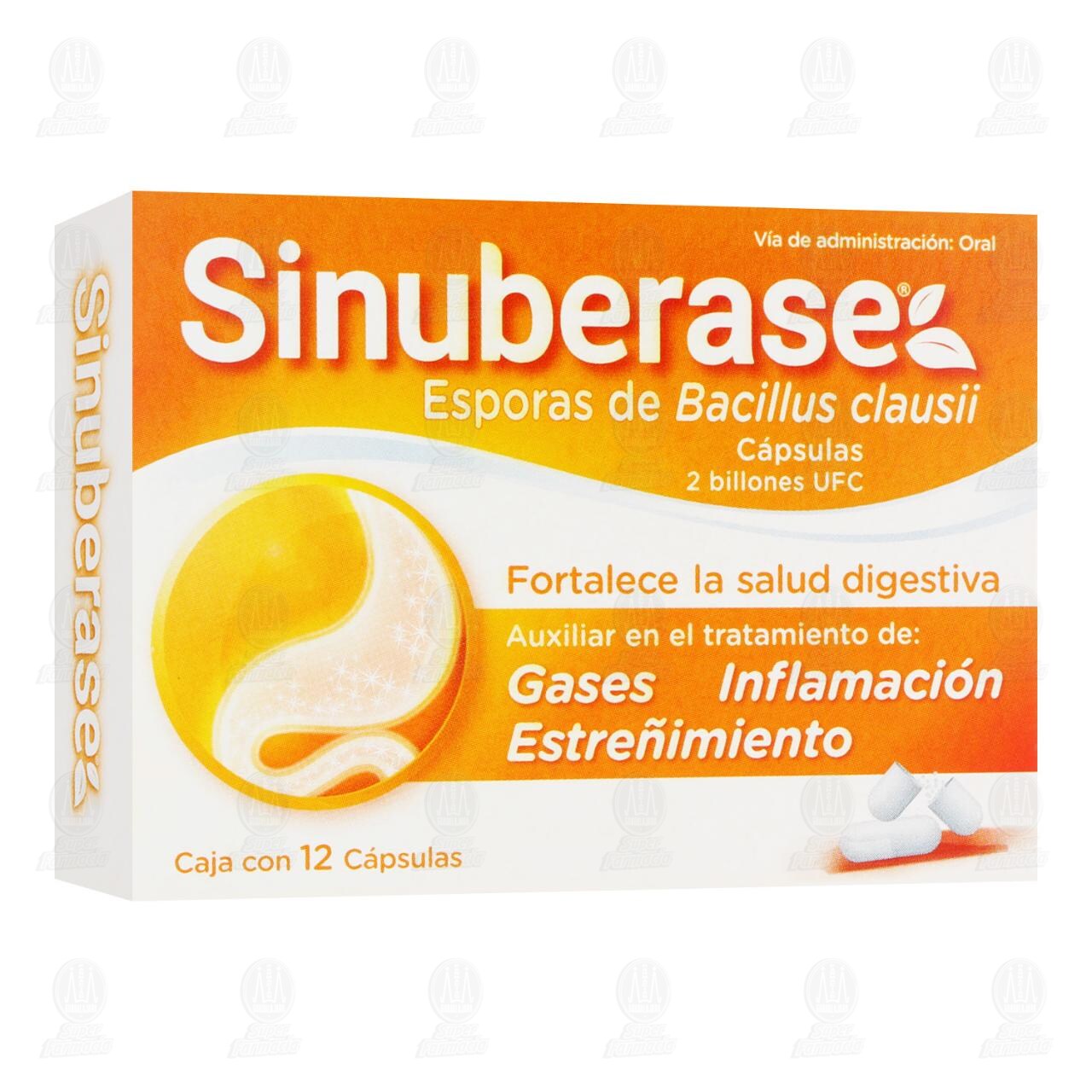 Sinuberase Probi&oacute;ticos C&aacute;psulas Bacillus Clausii 2 Billones de UFC, 12 C&aacute;psulas. image number 0