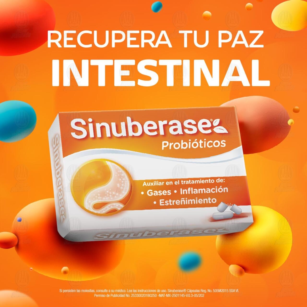 Sinuberase Probi&oacute;ticos C&aacute;psulas Bacillus Clausii 2 Billones de UFC, 12 C&aacute;psulas. image number 3