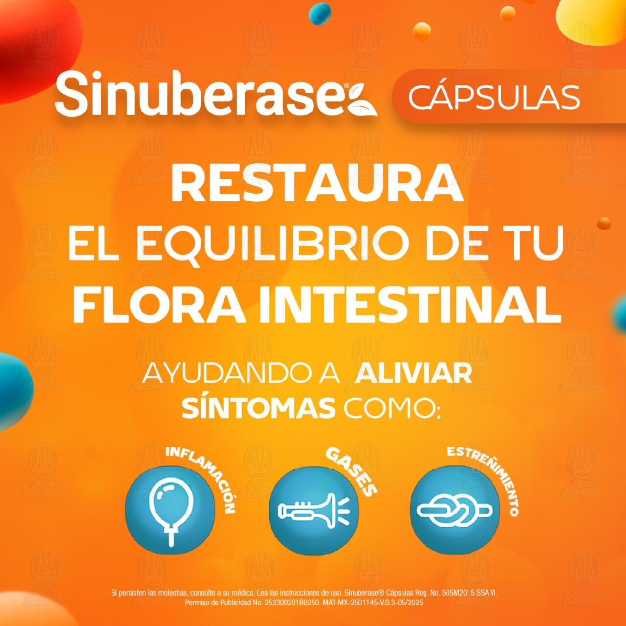 Sinuberase Probi&oacute;ticos C&aacute;psulas Bacillus Clausii 2 Billones de UFC, 12 C&aacute;psulas. image number 4