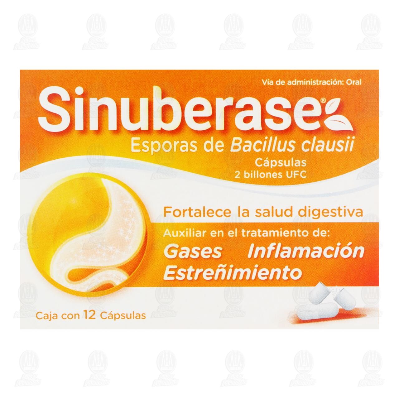 Sinuberase Probi&oacute;ticos C&aacute;psulas Bacillus Clausii 2 Billones de UFC, 12 C&aacute;psulas. image number 1