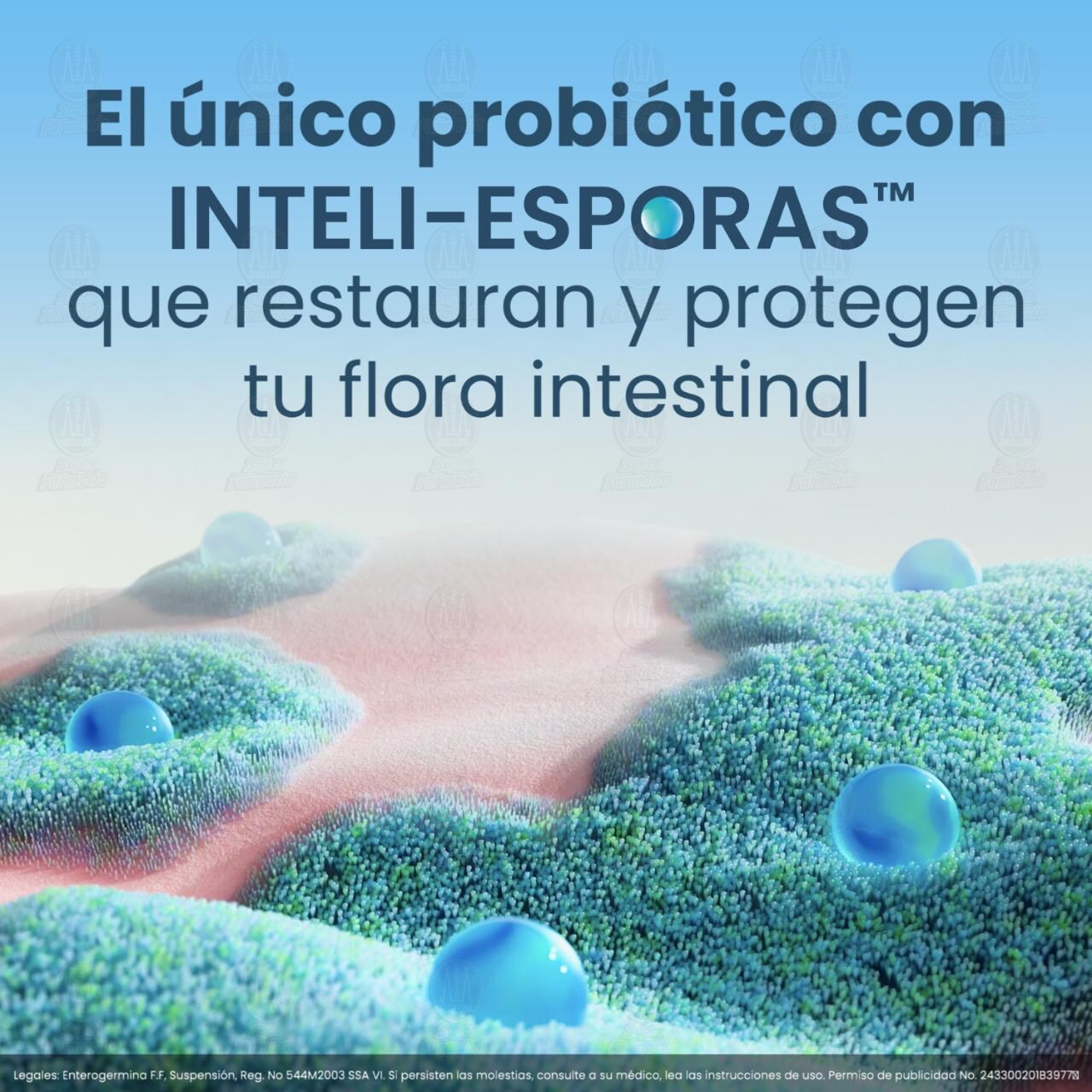 Enterogermina Probióticos Suspensión de Bacillus Clausii 4 Billones de UFC, 10 Ampolletas de 5ml c/u. image number 3