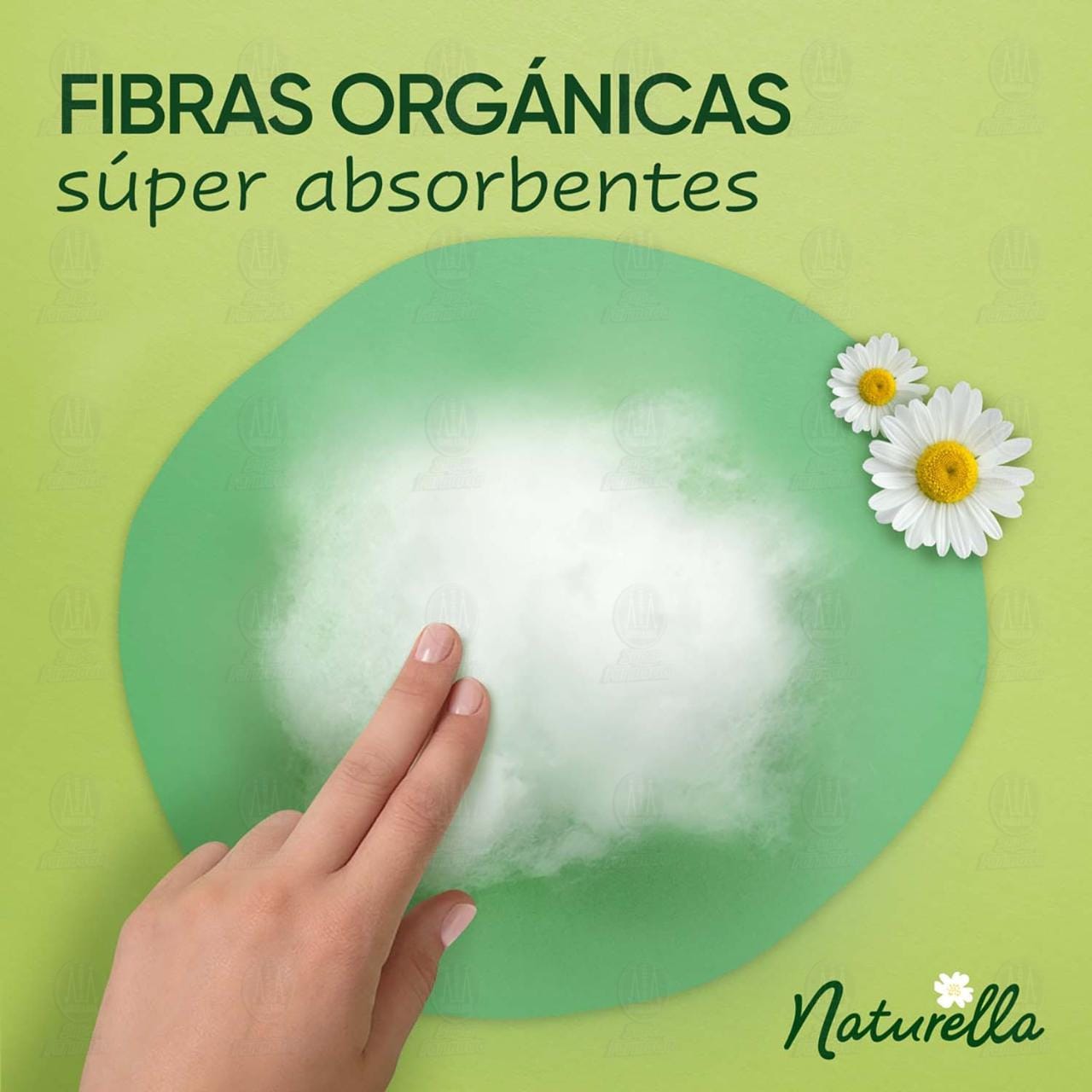 Toallas Femeninas Naturella Sin Alas, 10 pzas. image number 3