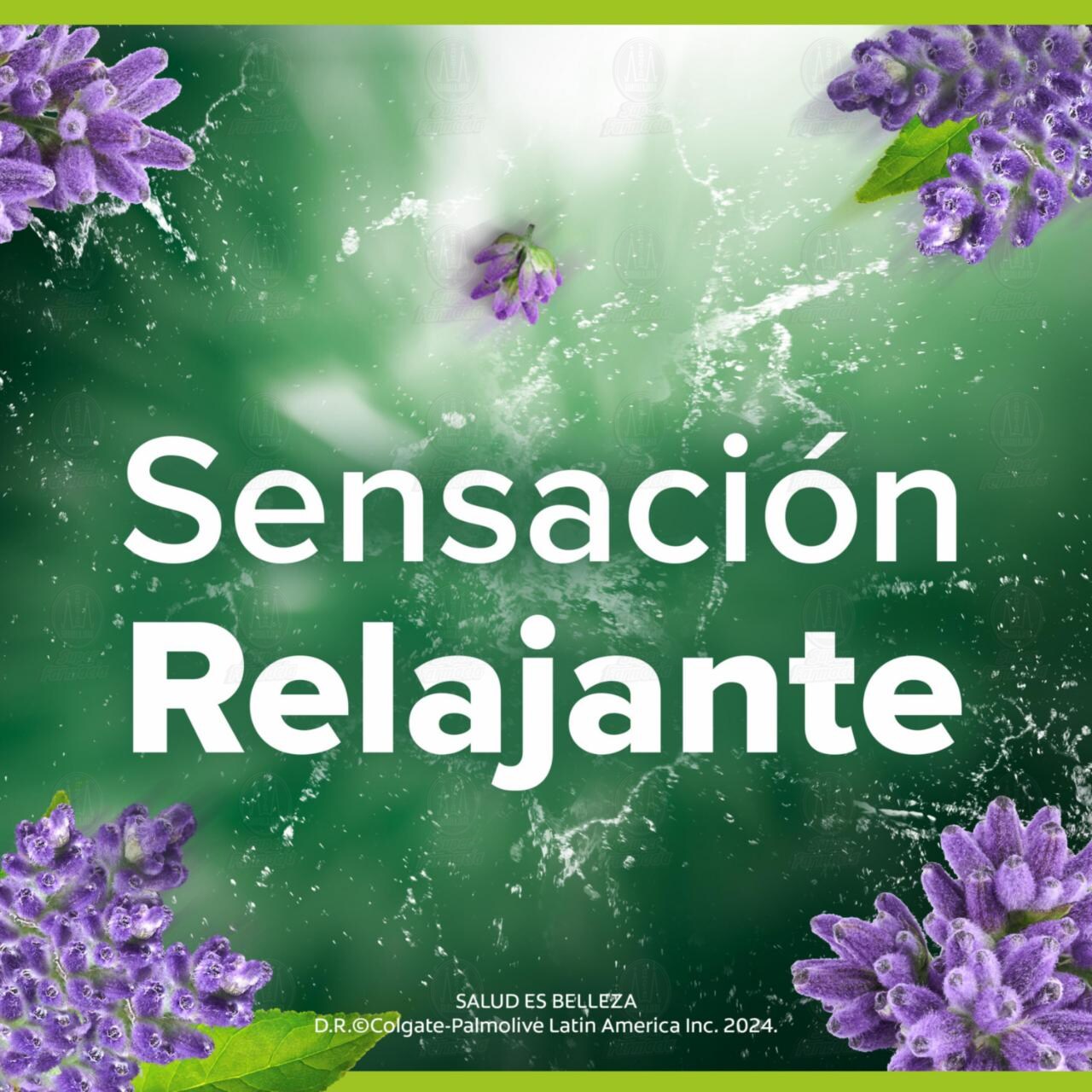 Jabón en Barra Palmolive Naturals Nutrición Relajante Lavanda y Crema, 120 gr. image number 2