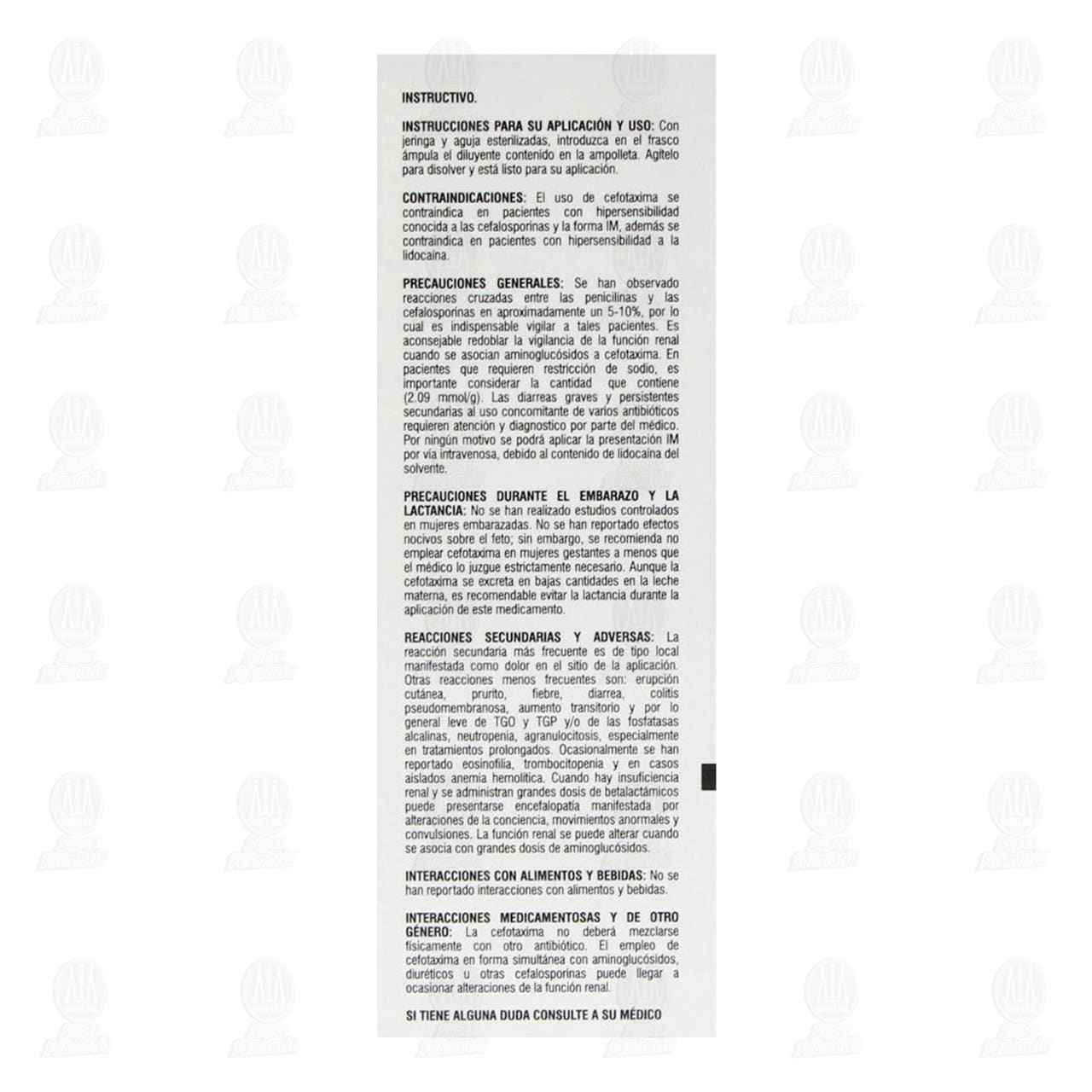 Cefotaxima 500 mg Ampolleta, 2 ml Pharmalife. image number 3