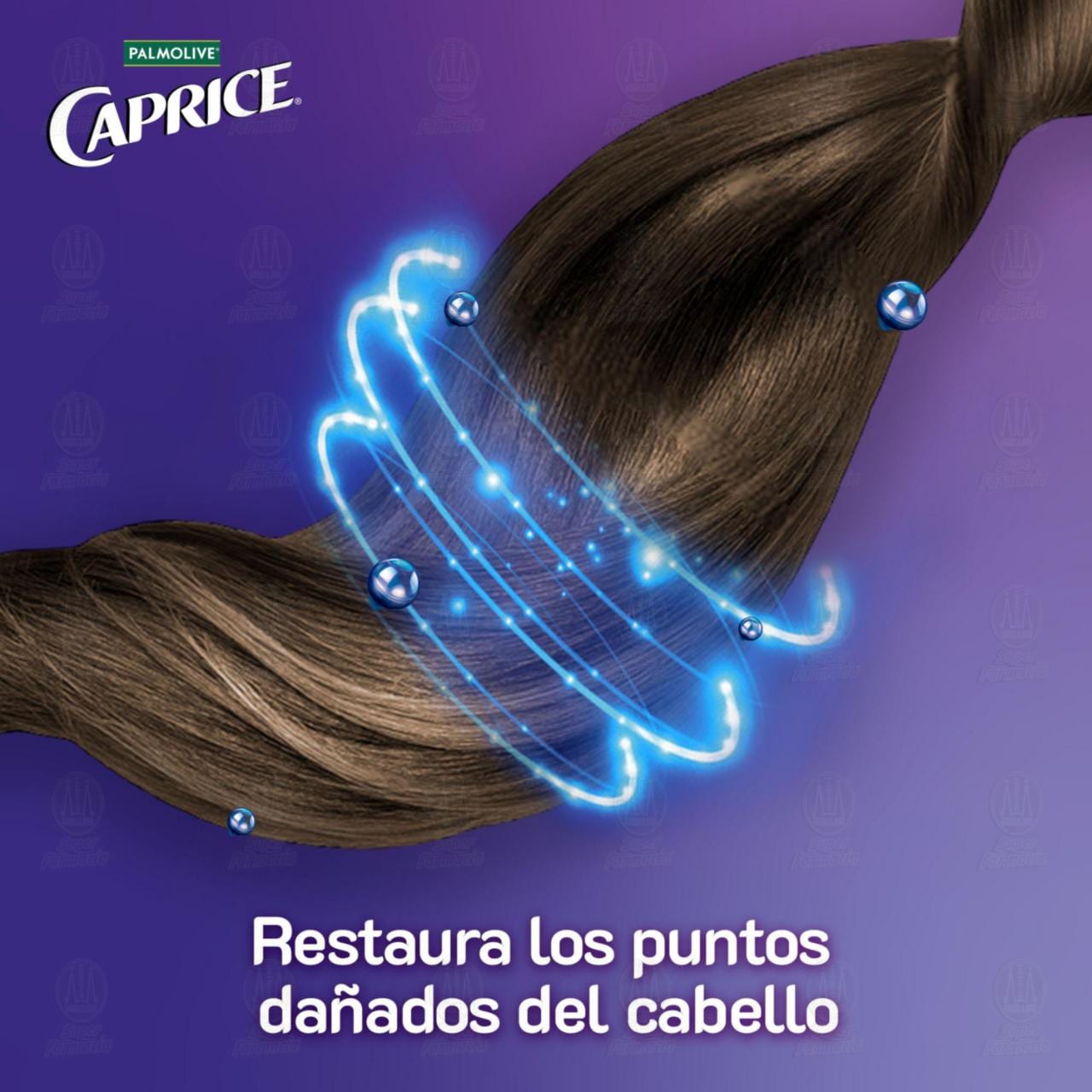 Shampoo Caprice Especialidades Fuerza Crecimiento Biotina, 750 ml. image number 4