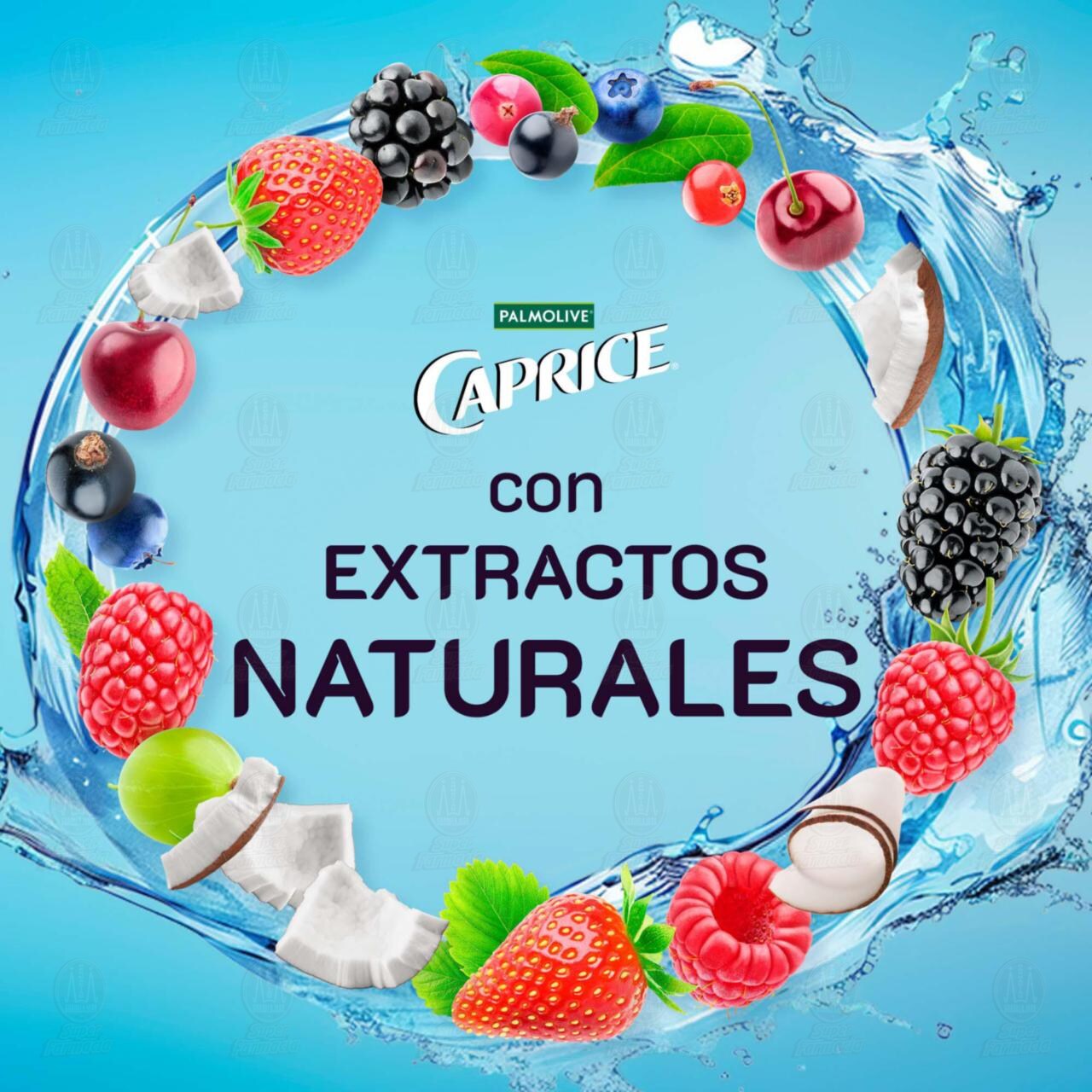 Shampoo Caprice Naturals Frutos y Coco, 760 ml. image number 3