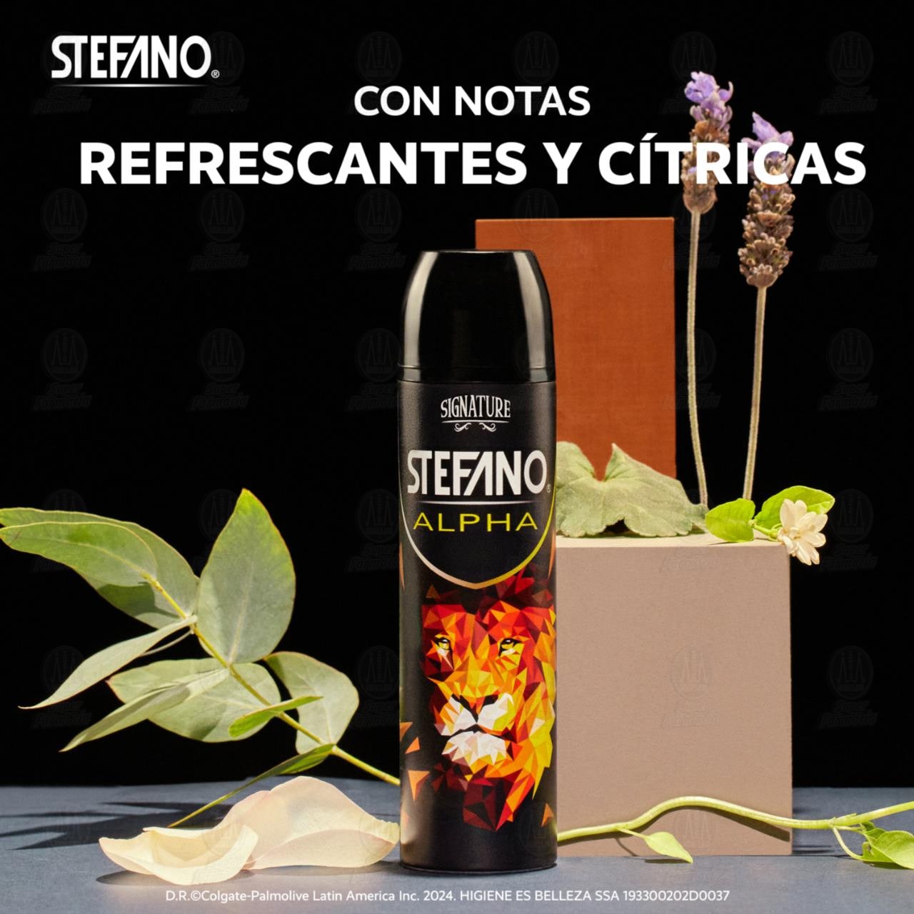 Desodorante Stefano Alpha en Aerosol, 159 ml. image number 2