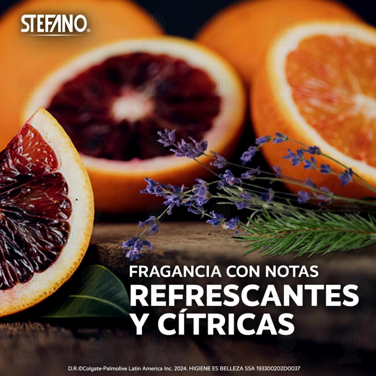 Desodorante Stefano Alpha en Aerosol, 159 ml. image number 4