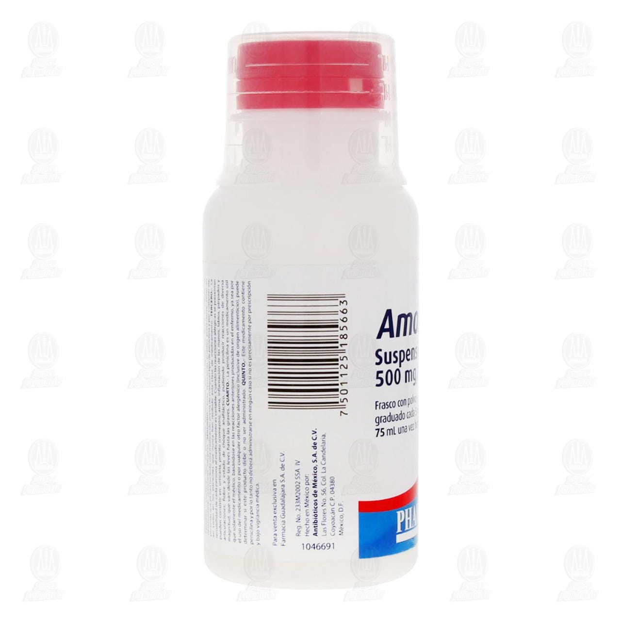 Amoxicilina 500mg/5ml Suspensi&oacute;n, 75 ml Pharmalife. image number 3
