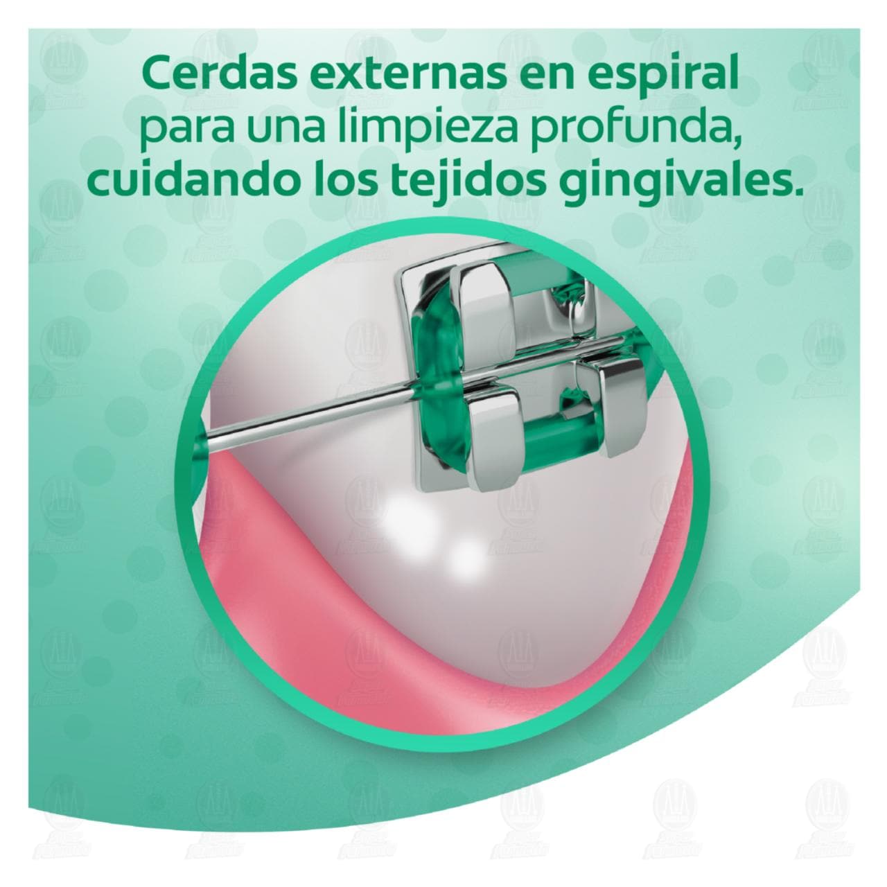 Cepillo Dental Colgate OrthoGard Suave, 1 pz. image number 4