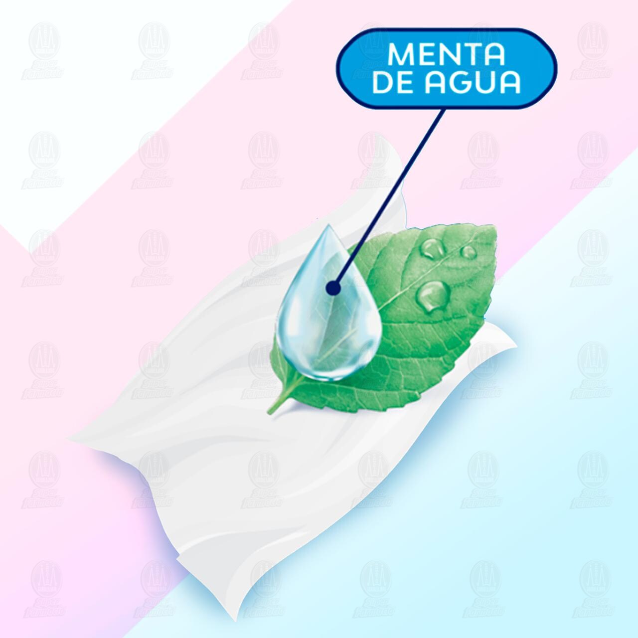 Toallitas Húmedas Saba Diarios V-Fresh Menta de Agua, 12 pzas. image number 3