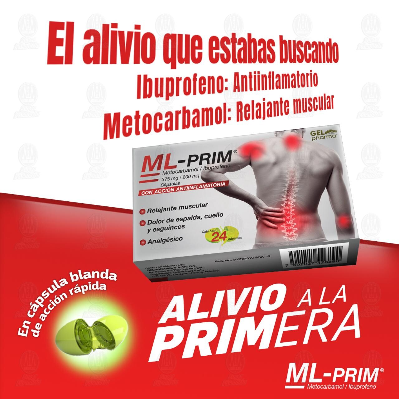 ML-PRIM 375mg/200mg, 24 Cápsulas. de ML-PRIM | Farmacias Guadalajara