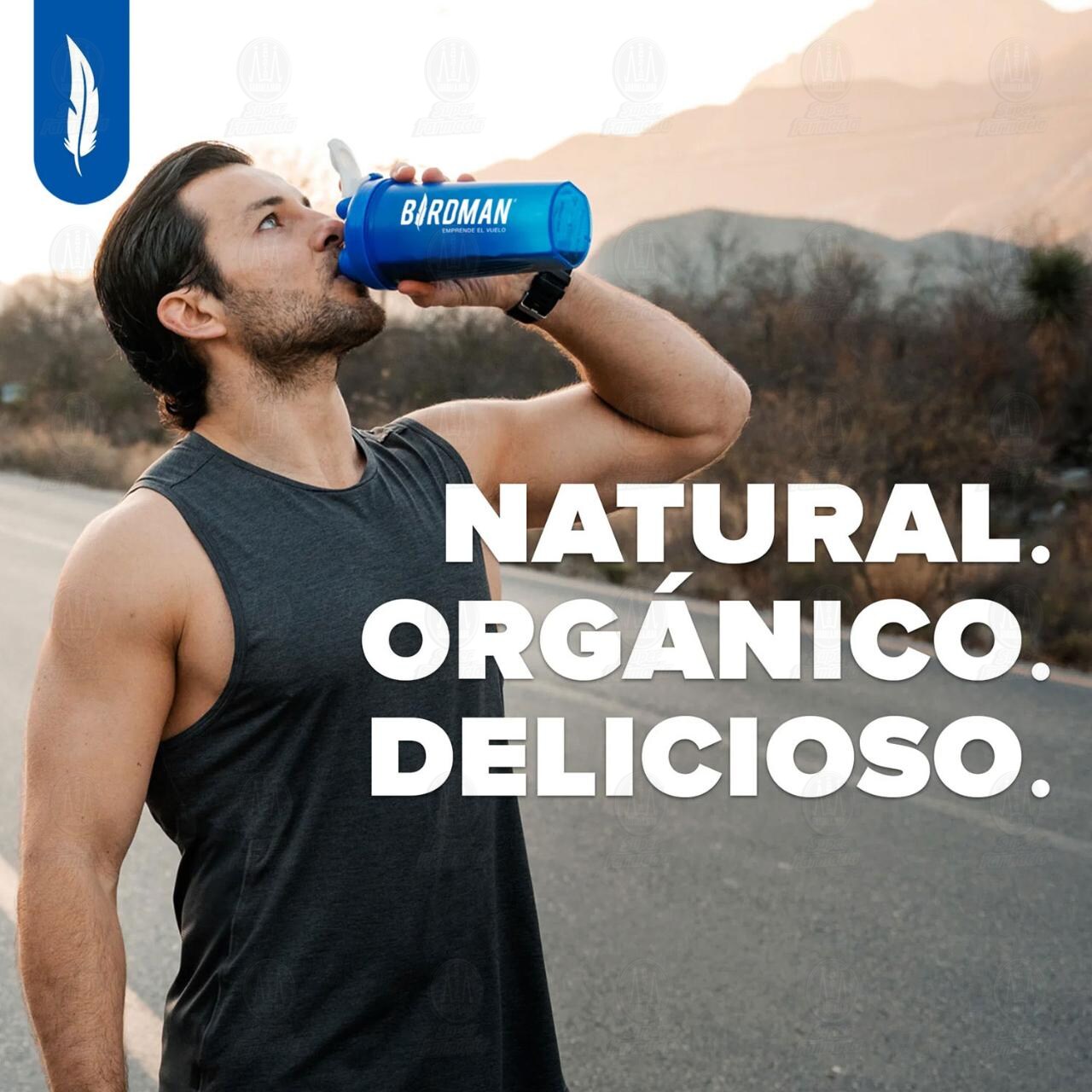 Birdman Falcon Proteína en Polvo Sabor Vainilla, 30 gr. image number 2