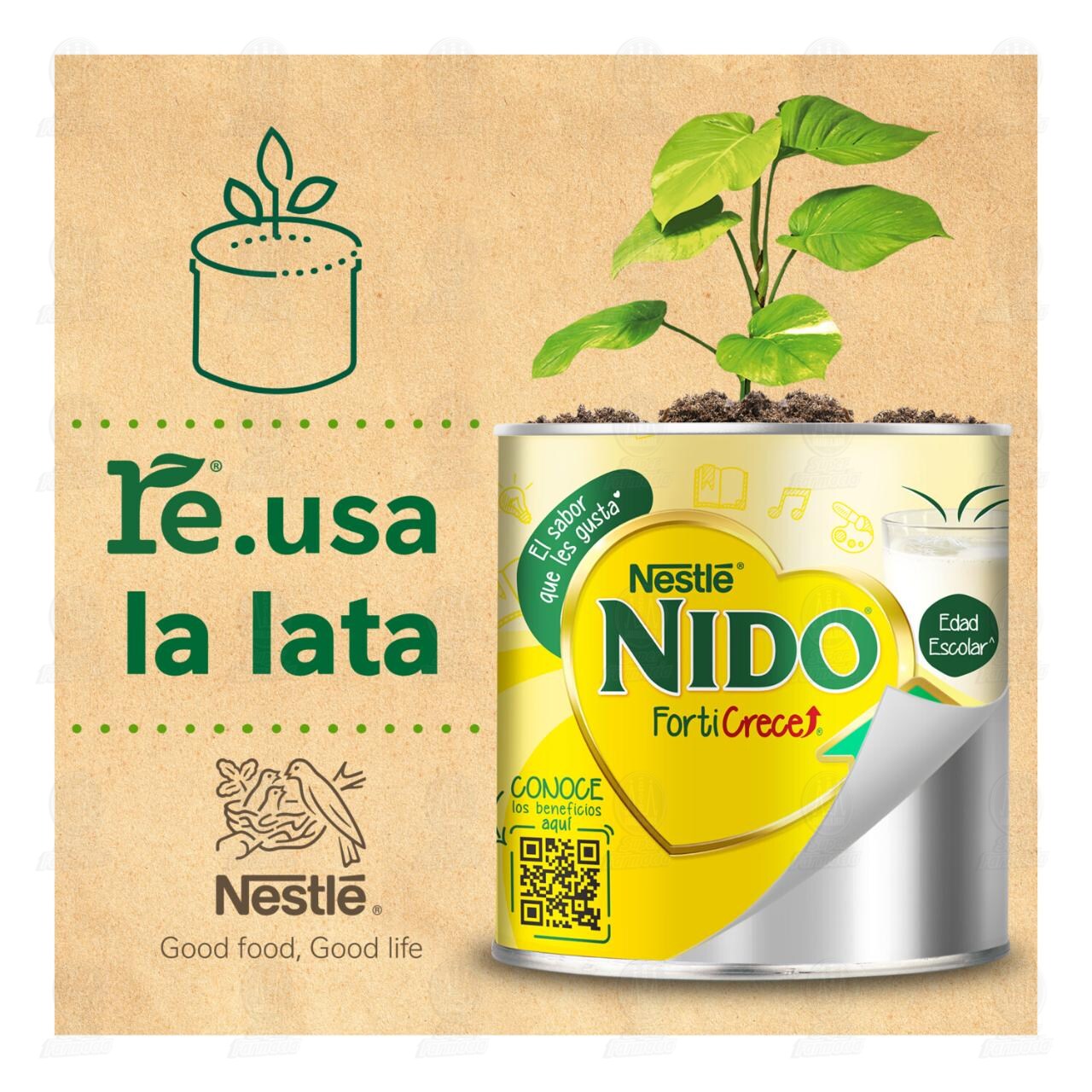 Alimento en Polvo Nestl&eacute; Nido FortiCrece edad Escolar, 2.04 Kg. image number 4