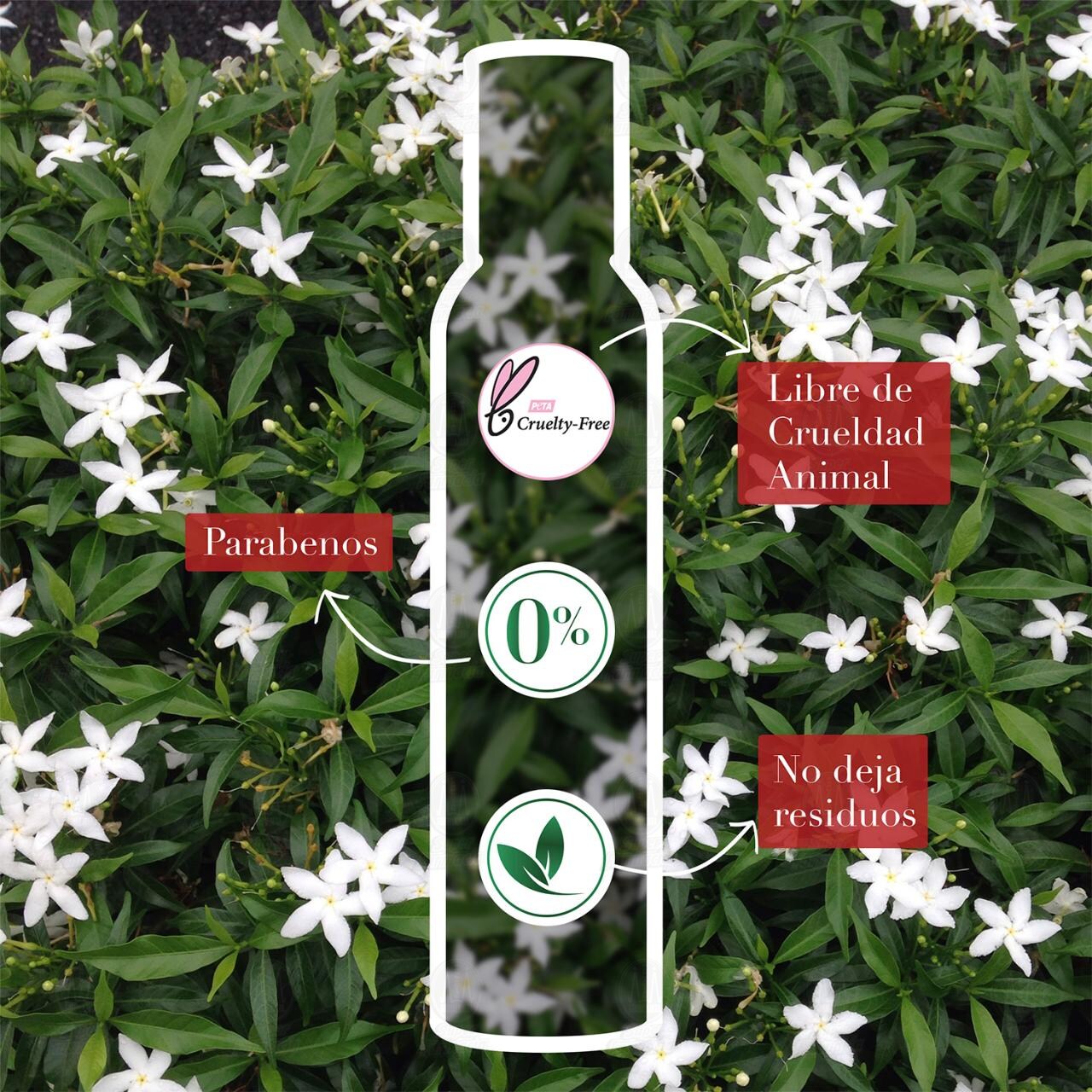 Espuma Modeladora Herbal Essences Cabello Rizo Jazmín, 210 ml. image number 4