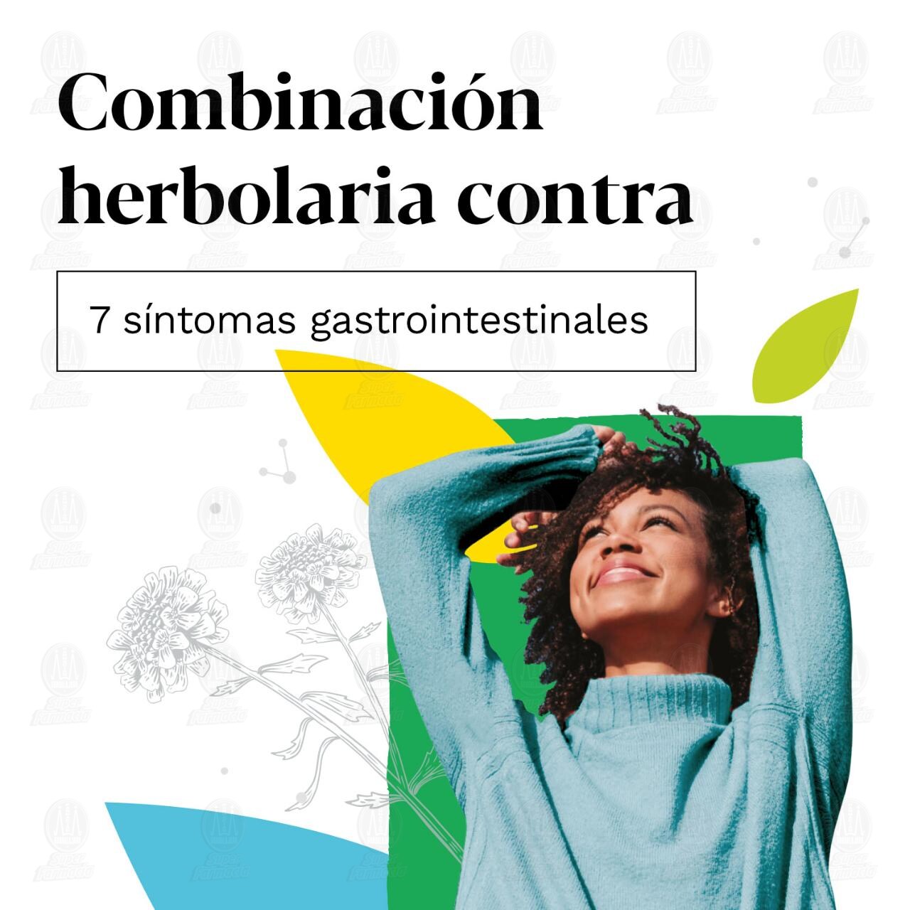 Iberogast Solución Oral, 20 ml. image number 2