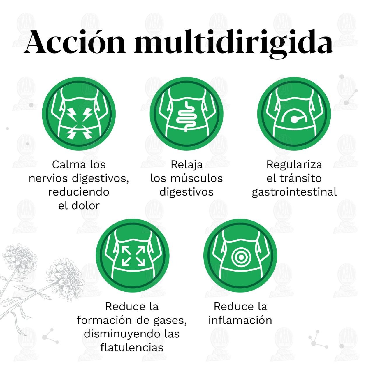 Iberogast Solución Oral, 20 ml. image number 4