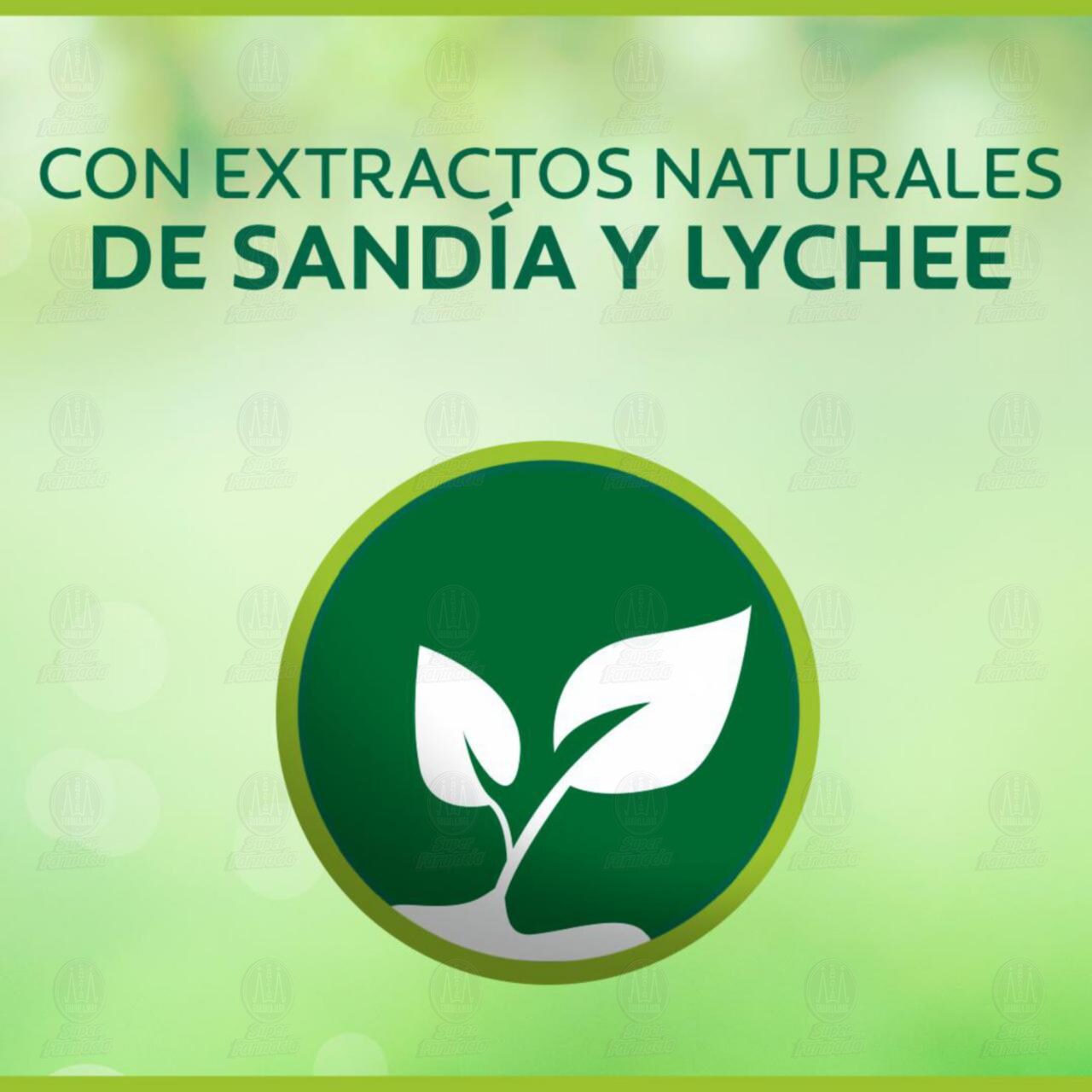 Jab&oacute;n L&iacute;quido Corporal Palmolive Naturals Humectaci&oacute;n Refrescante, 390 ml. image number 4