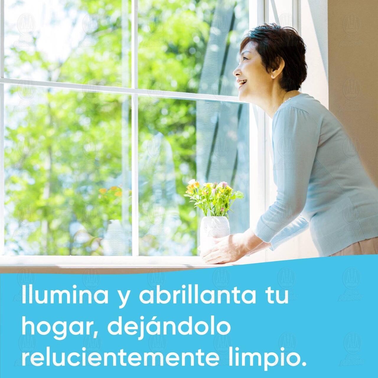 Limpiador L&iacute;quido Windex Original, 640 ml. image number 2