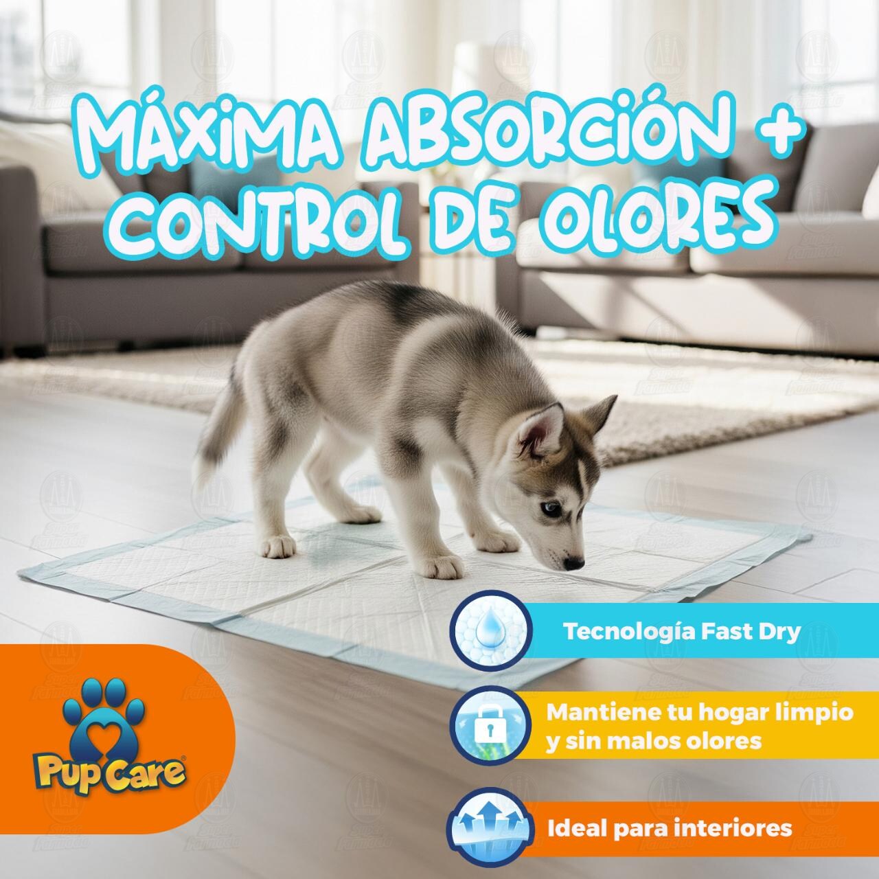 Tapete Entrenador para Mascota Pup Care, 12 pzas. image number 1