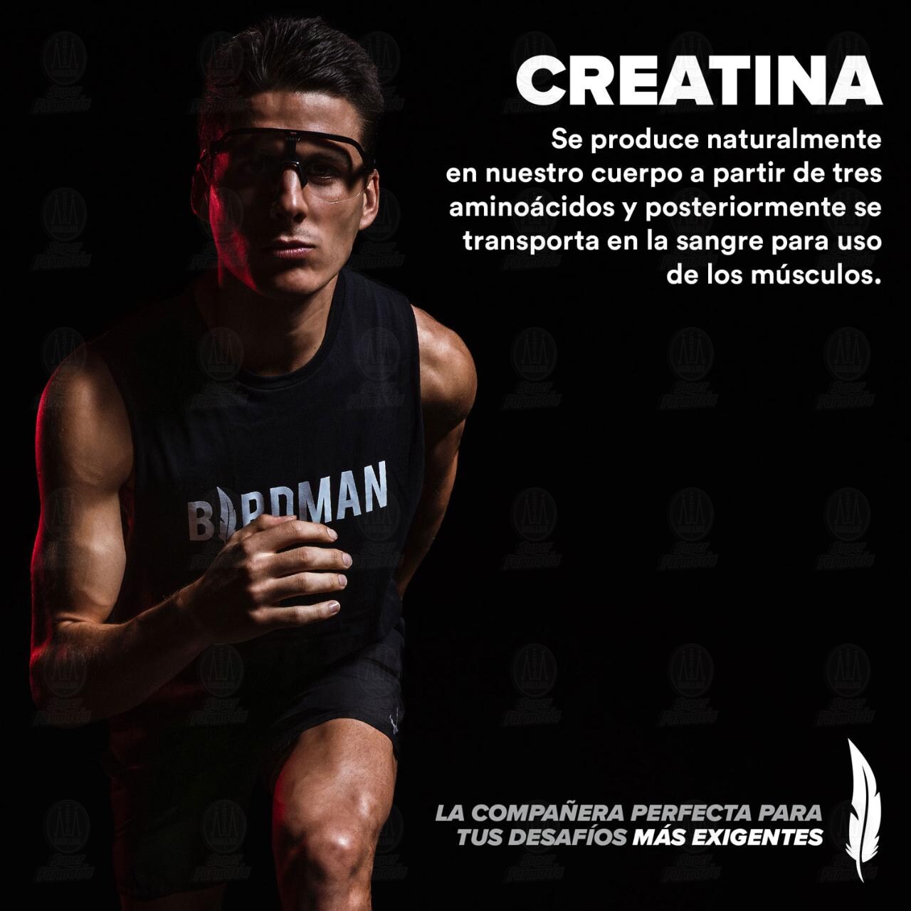 Birdman Creatina Monohidratada Performance Series Sin sabor, 450 gr. de ...