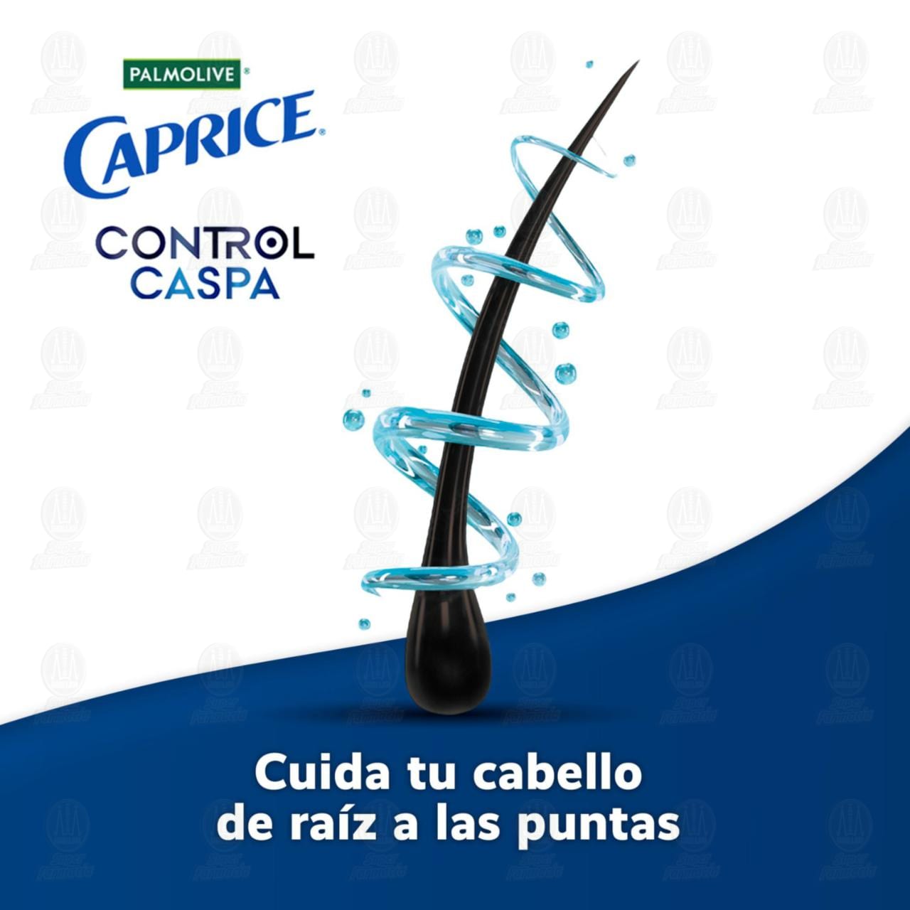 Shampoo Caprice Control Caspa Limpieza Refrescante, 750 ml. image number 2