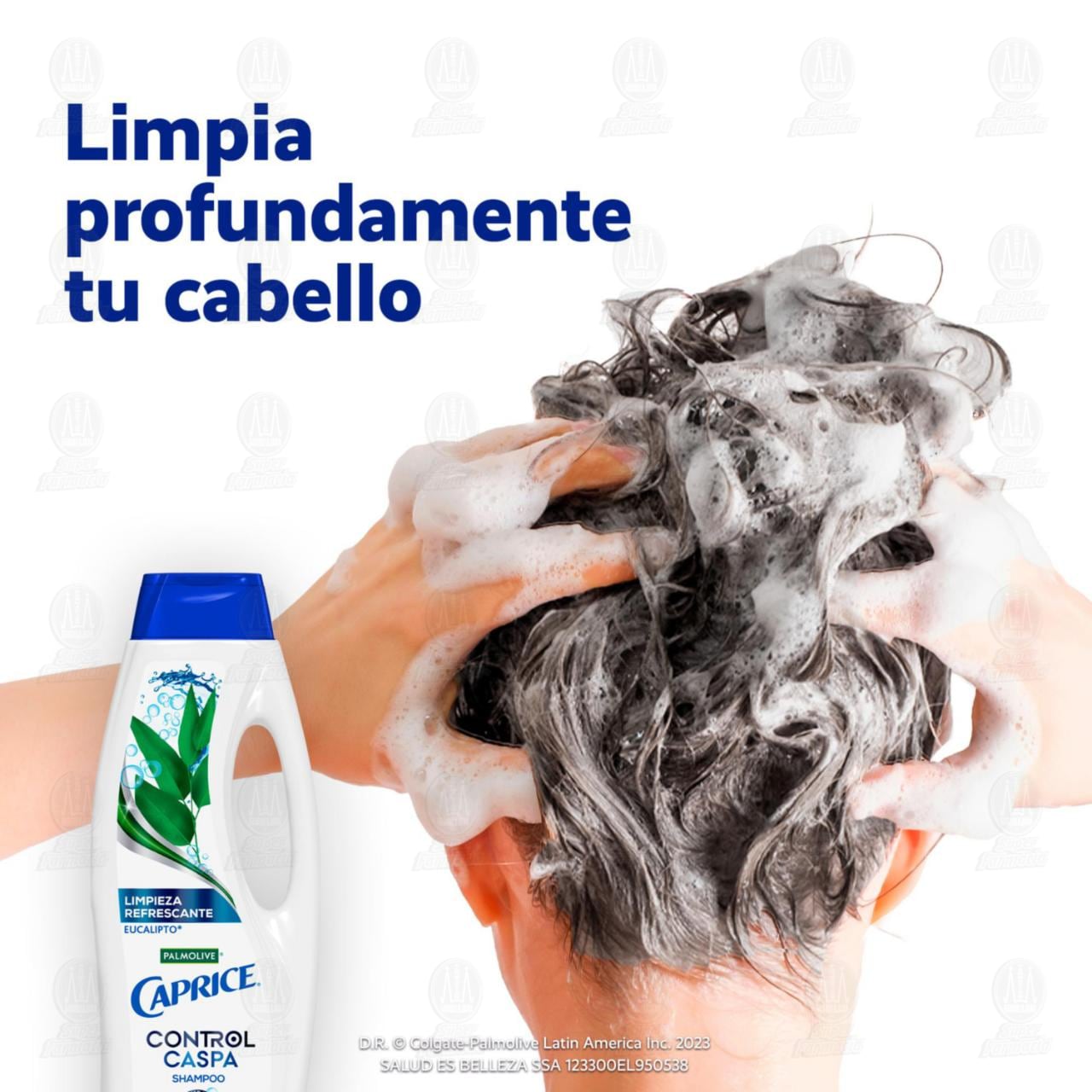 Shampoo Caprice Control Caspa Limpieza Refrescante, 750 ml. image number 3