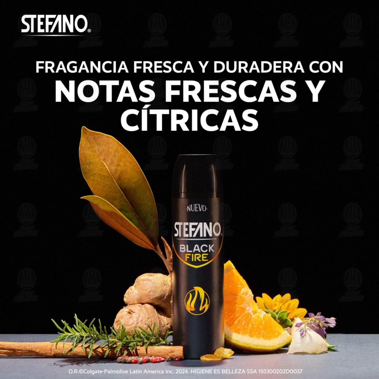 Desodorante Stefano Black Fire en Aerosol, 150 ml. image number 2