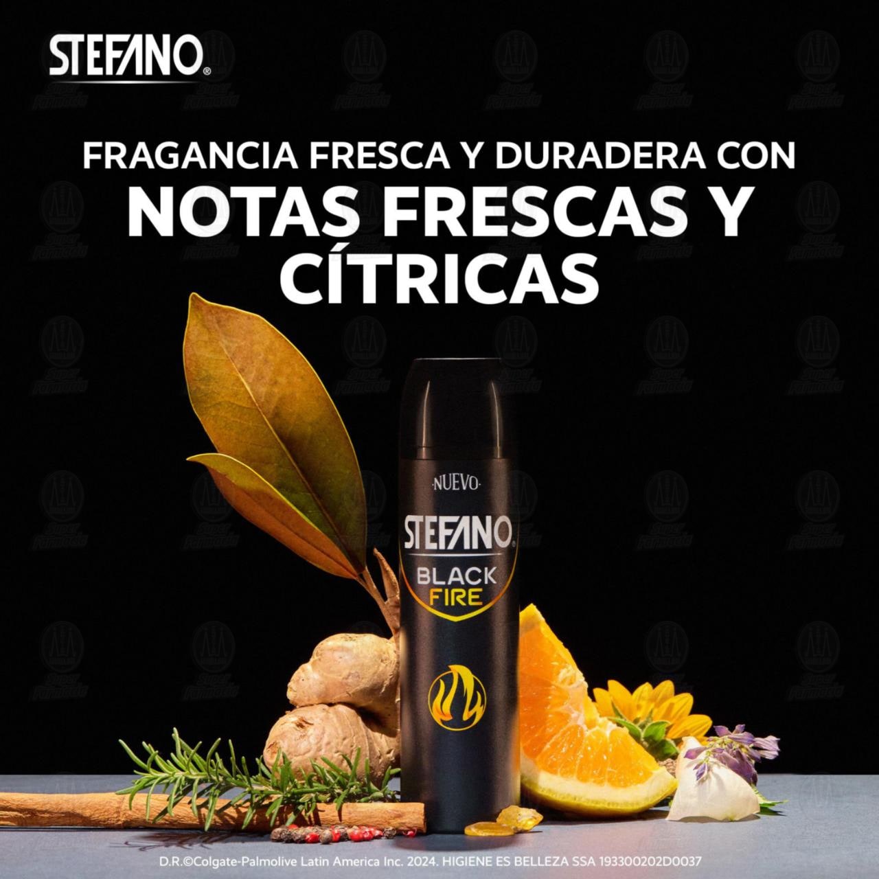 Desodorante Stefano Black Fire en Aerosol, 150 ml. image number 2